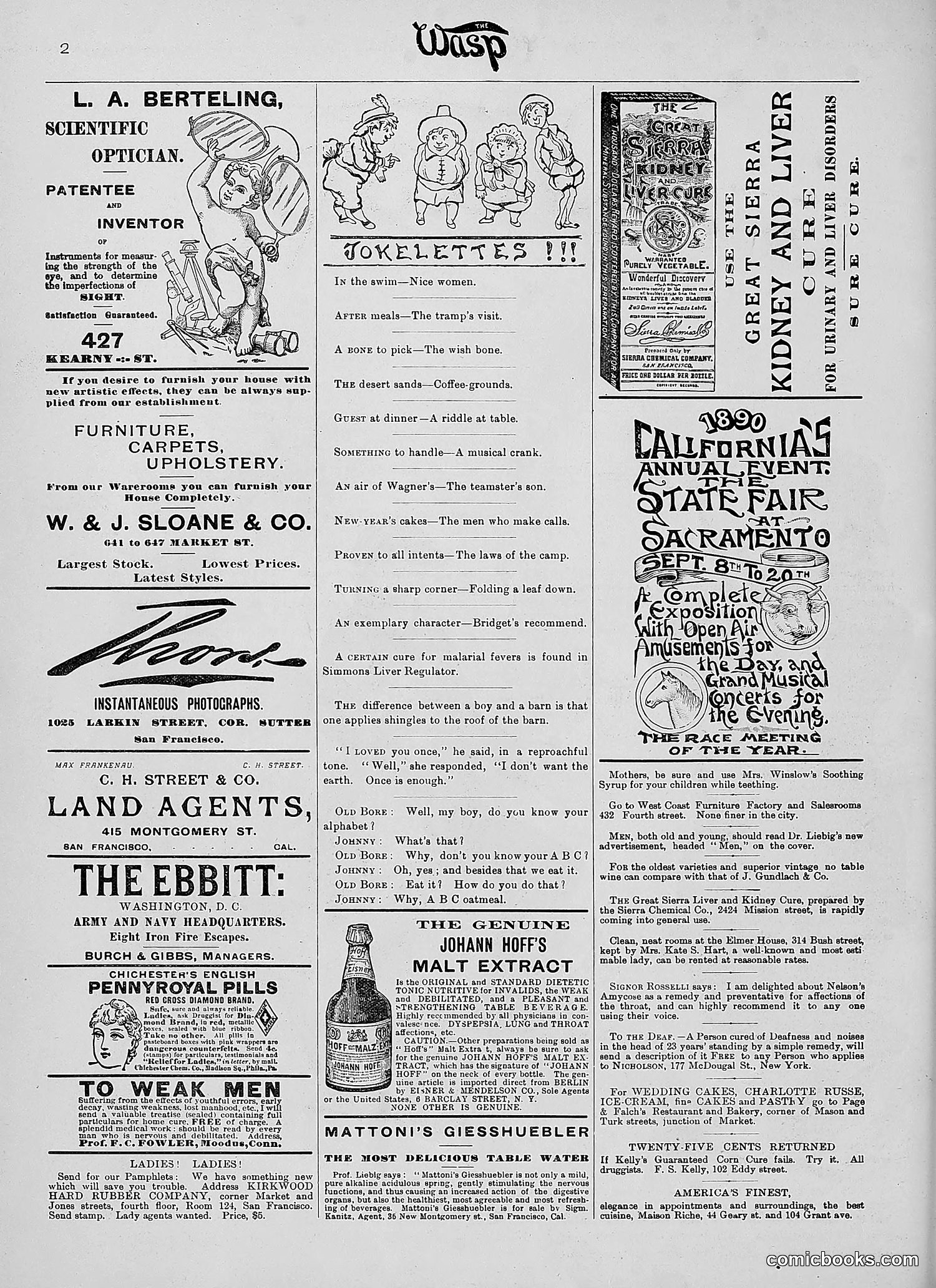 The Wasp — 1890 — page 185 of 504
