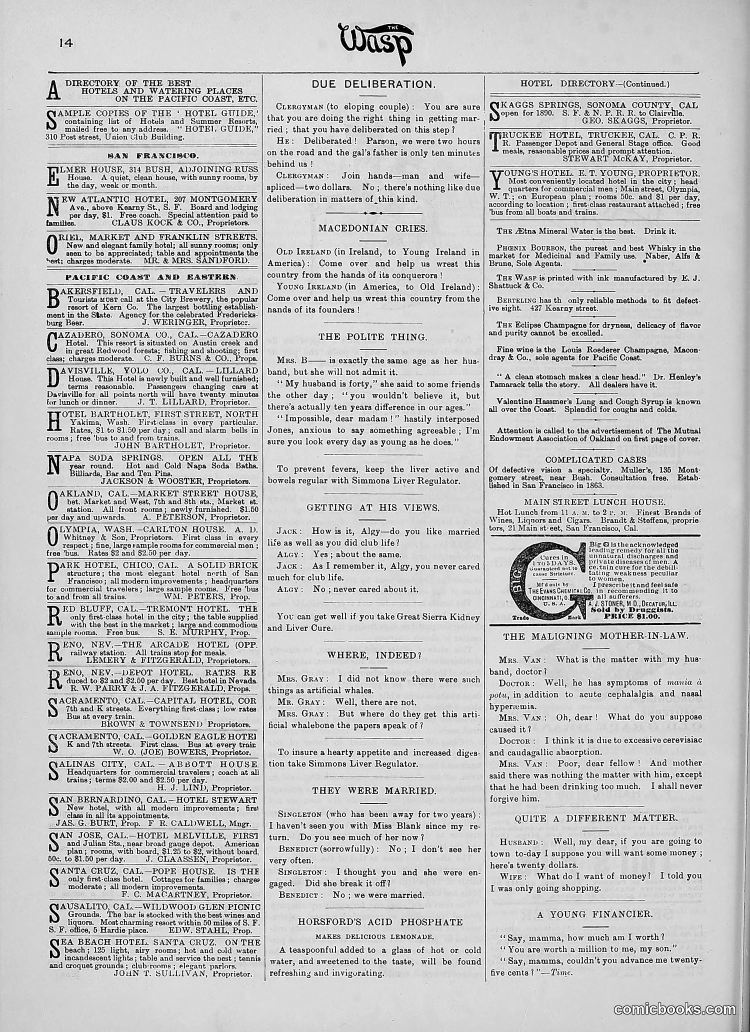 The Wasp — 1890 — page 197 of 504