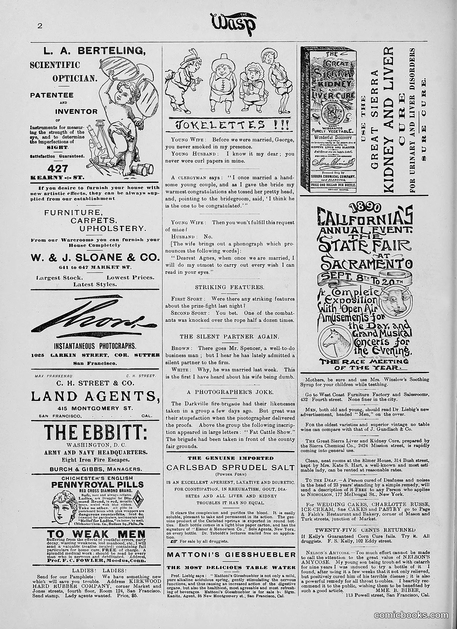 The Wasp — 1890 — page 201 of 504