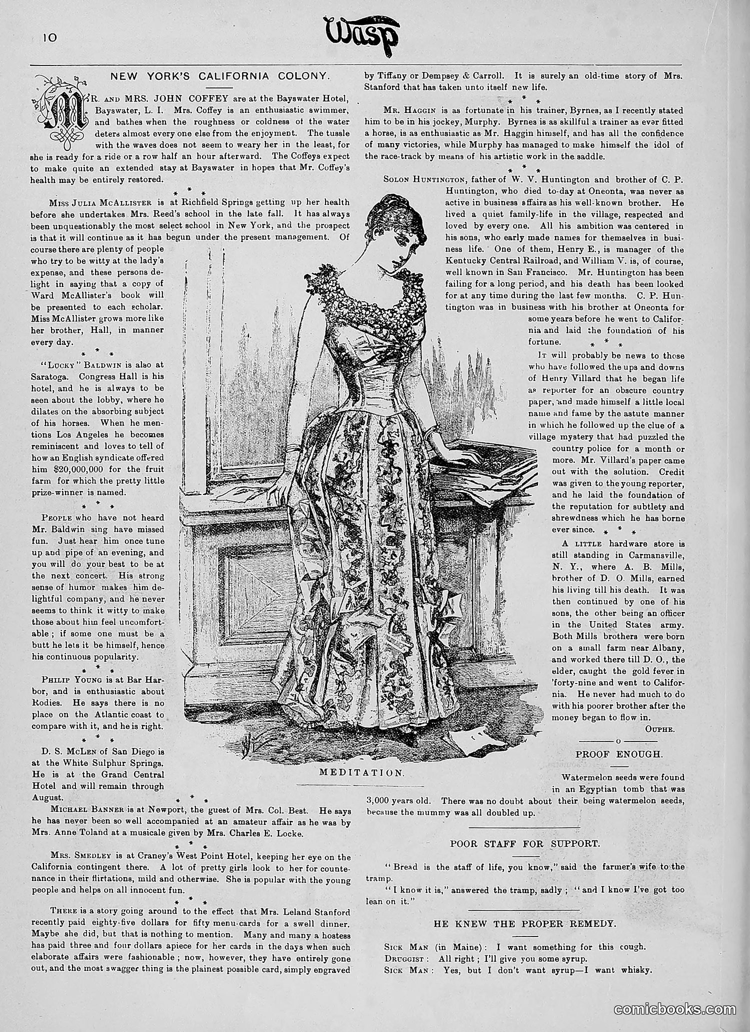 The Wasp — 1890 — page 211 of 504