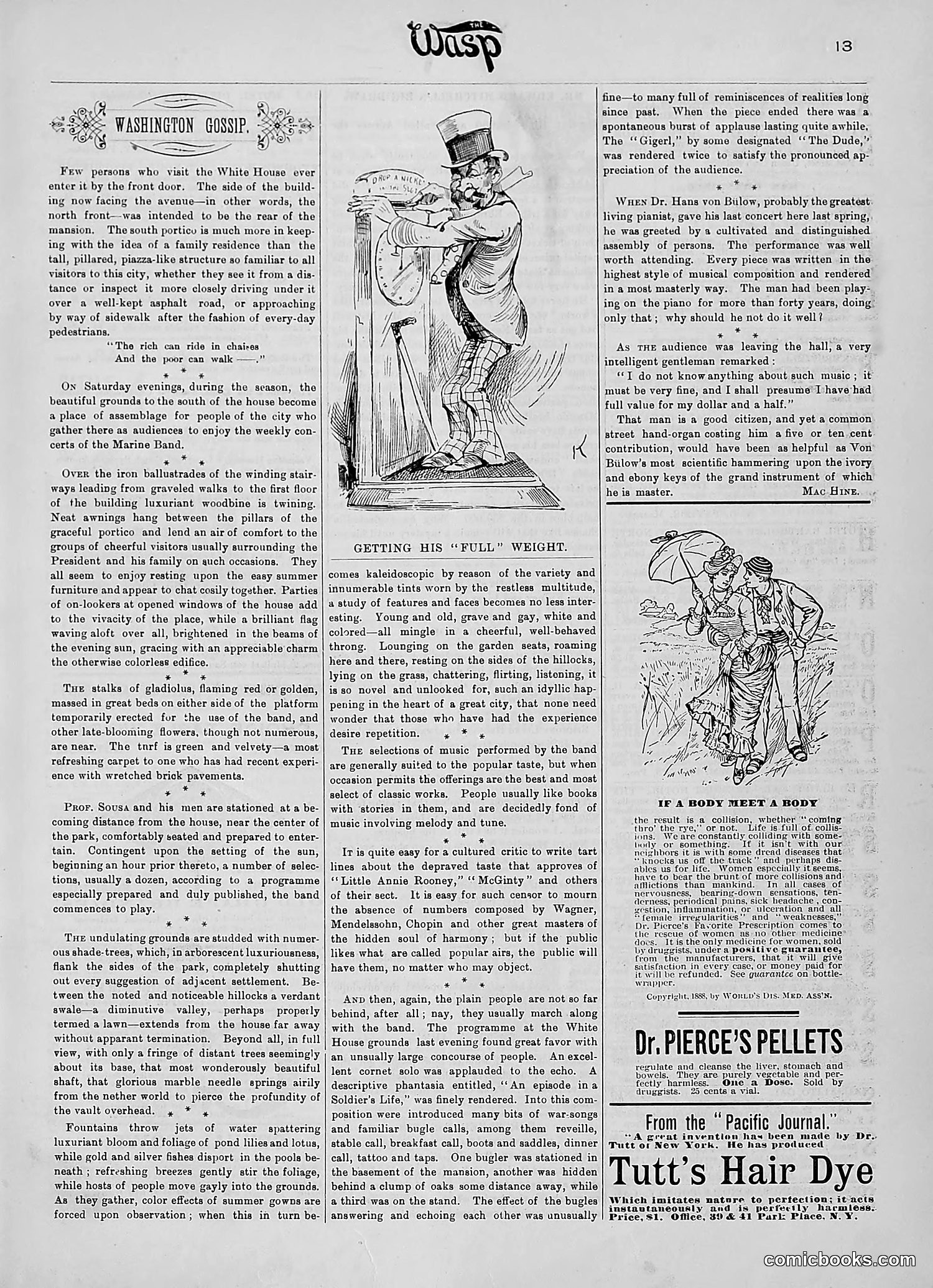 The Wasp — 1890 — page 214 of 504