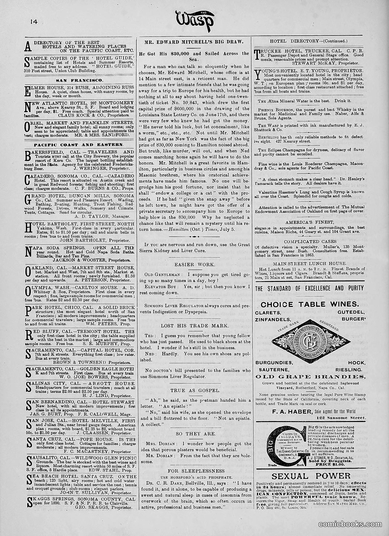 The Wasp — 1890 — page 215 of 504