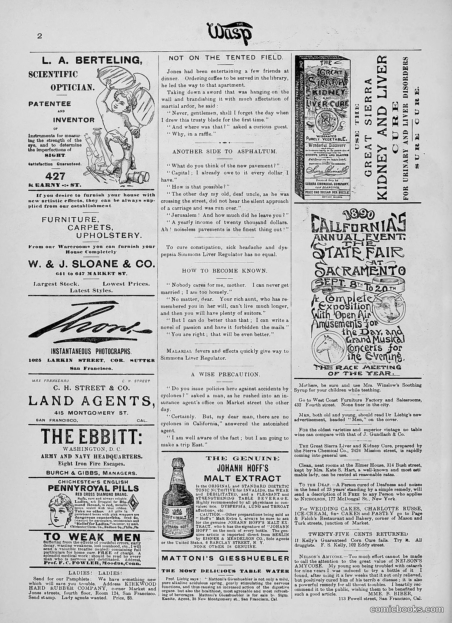 The Wasp — 1890 — page 219 of 504