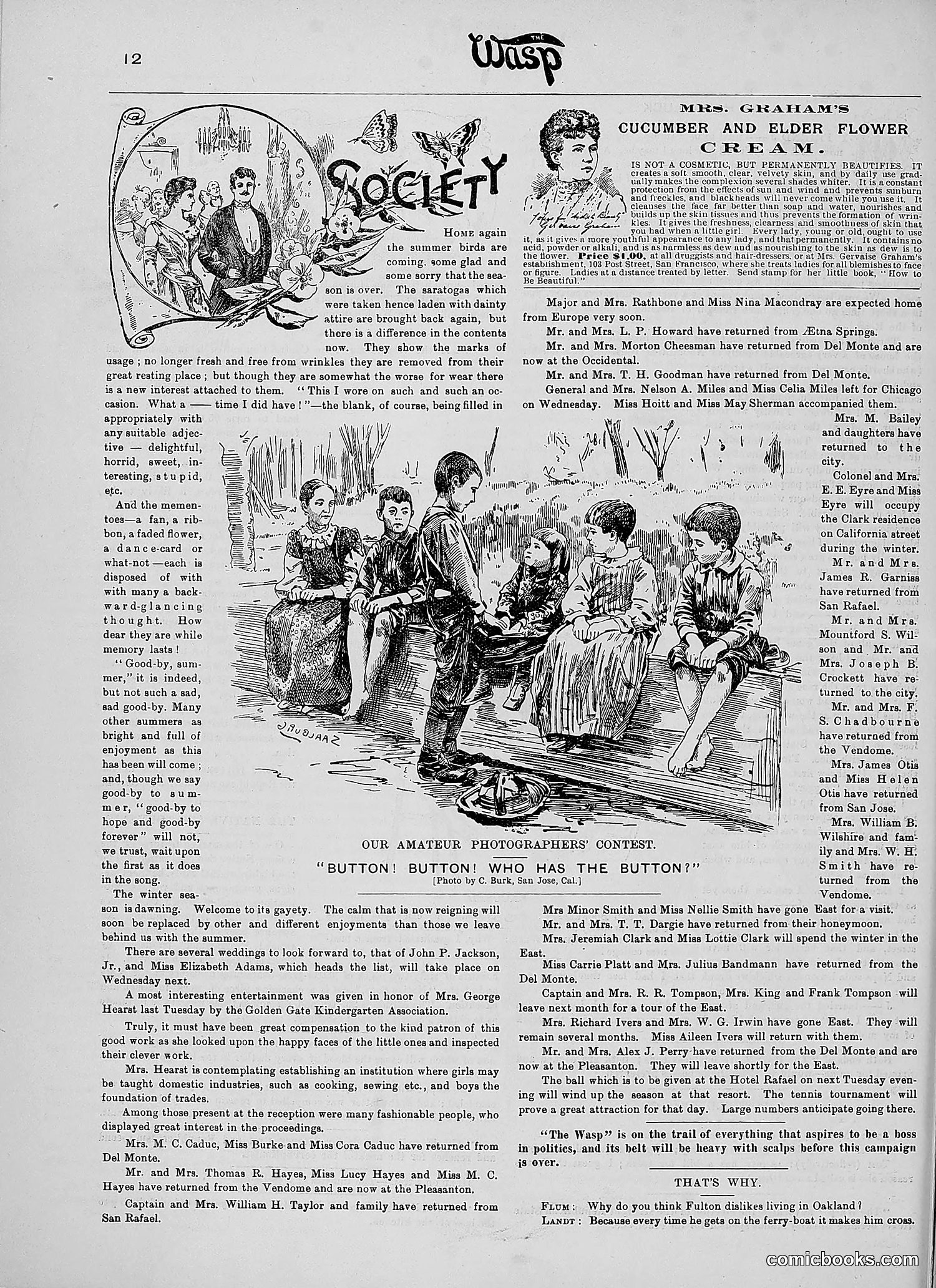The Wasp — 1890 — page 229 of 504