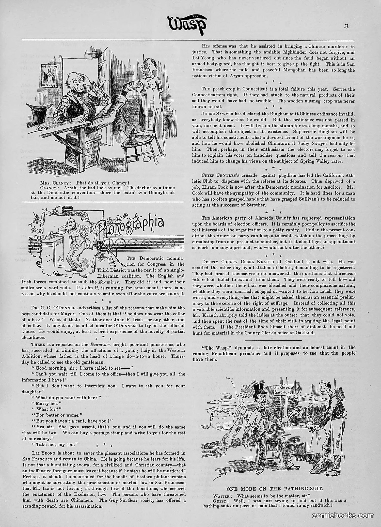 The Wasp — 1890 — page 236 of 504