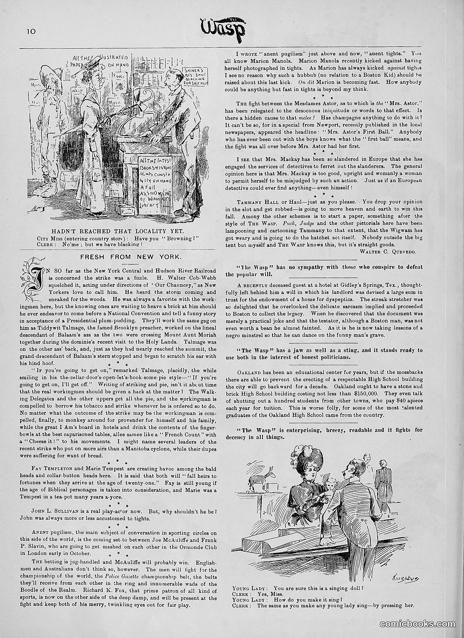The Wasp — 1890 — page 243 of 504