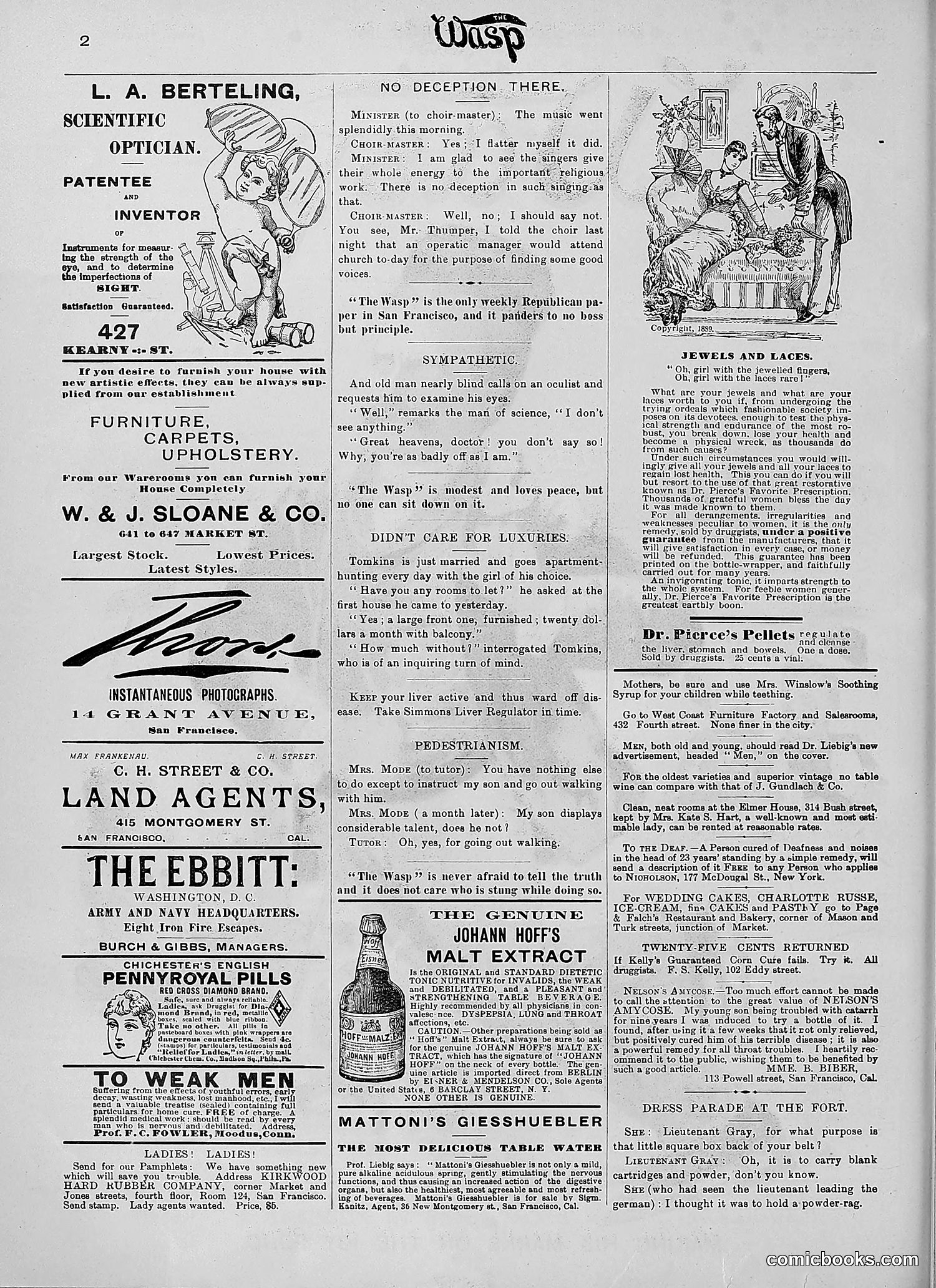 The Wasp — 1890 — page 251 of 504