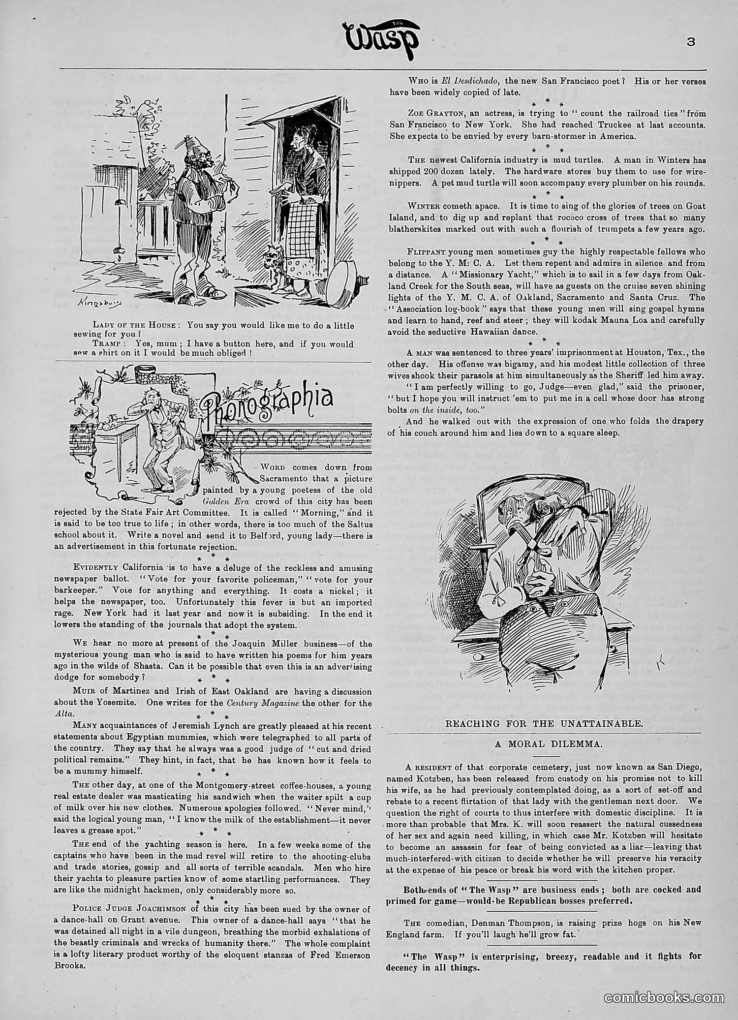 The Wasp — 1890 — page 252 of 504
