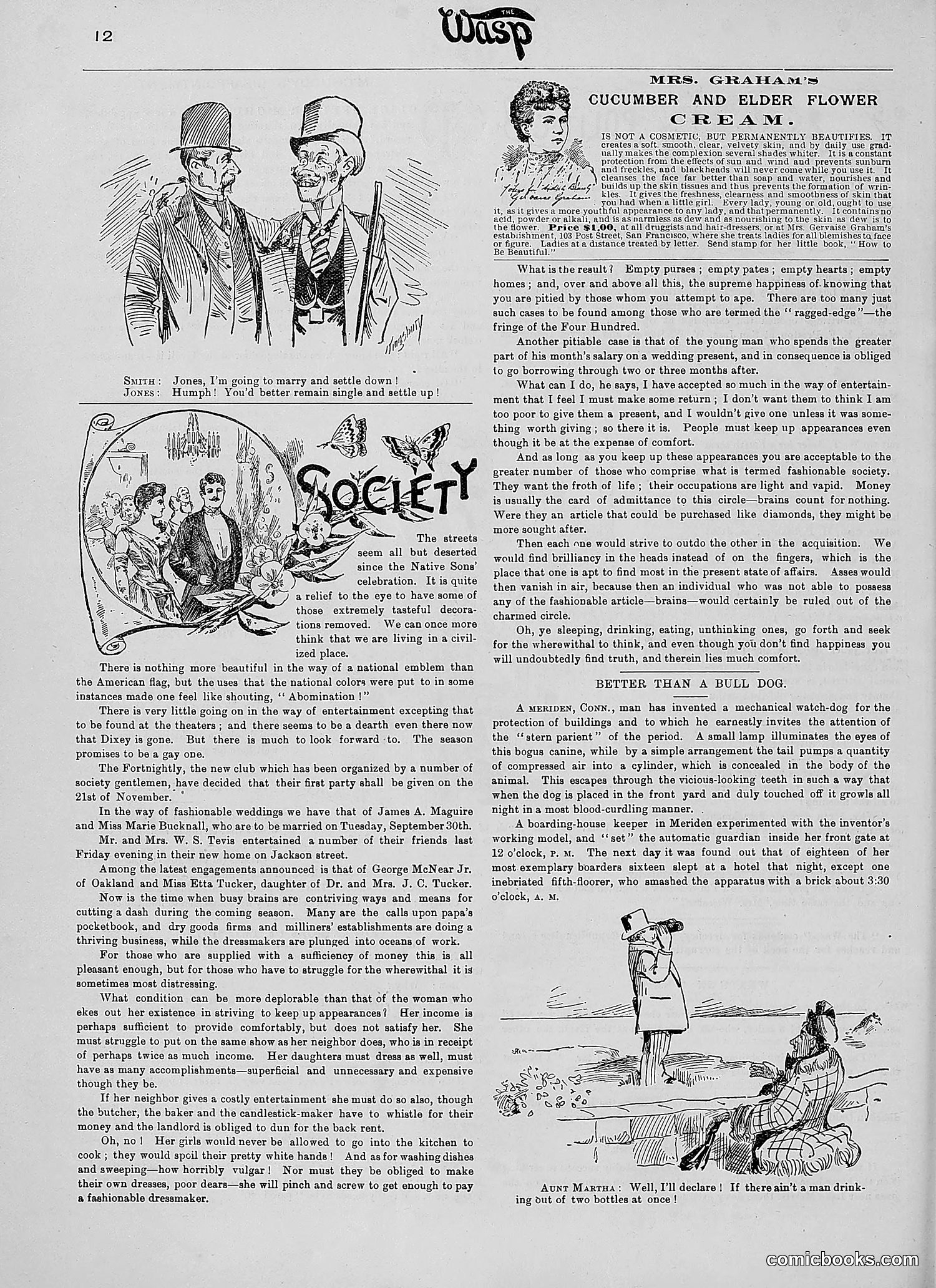 The Wasp — 1890 — page 261 of 504