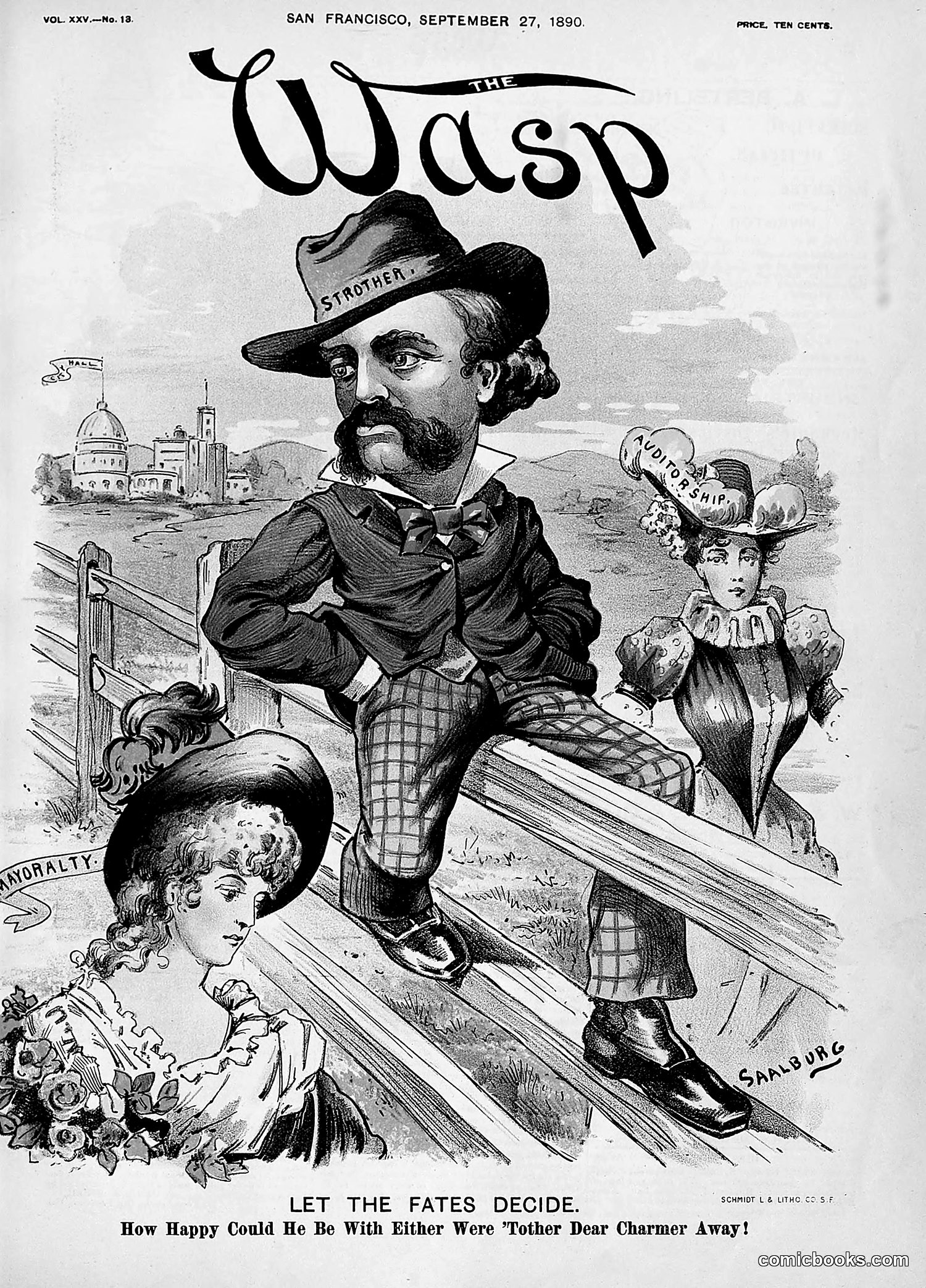 The Wasp — 1890 — page 266 of 504