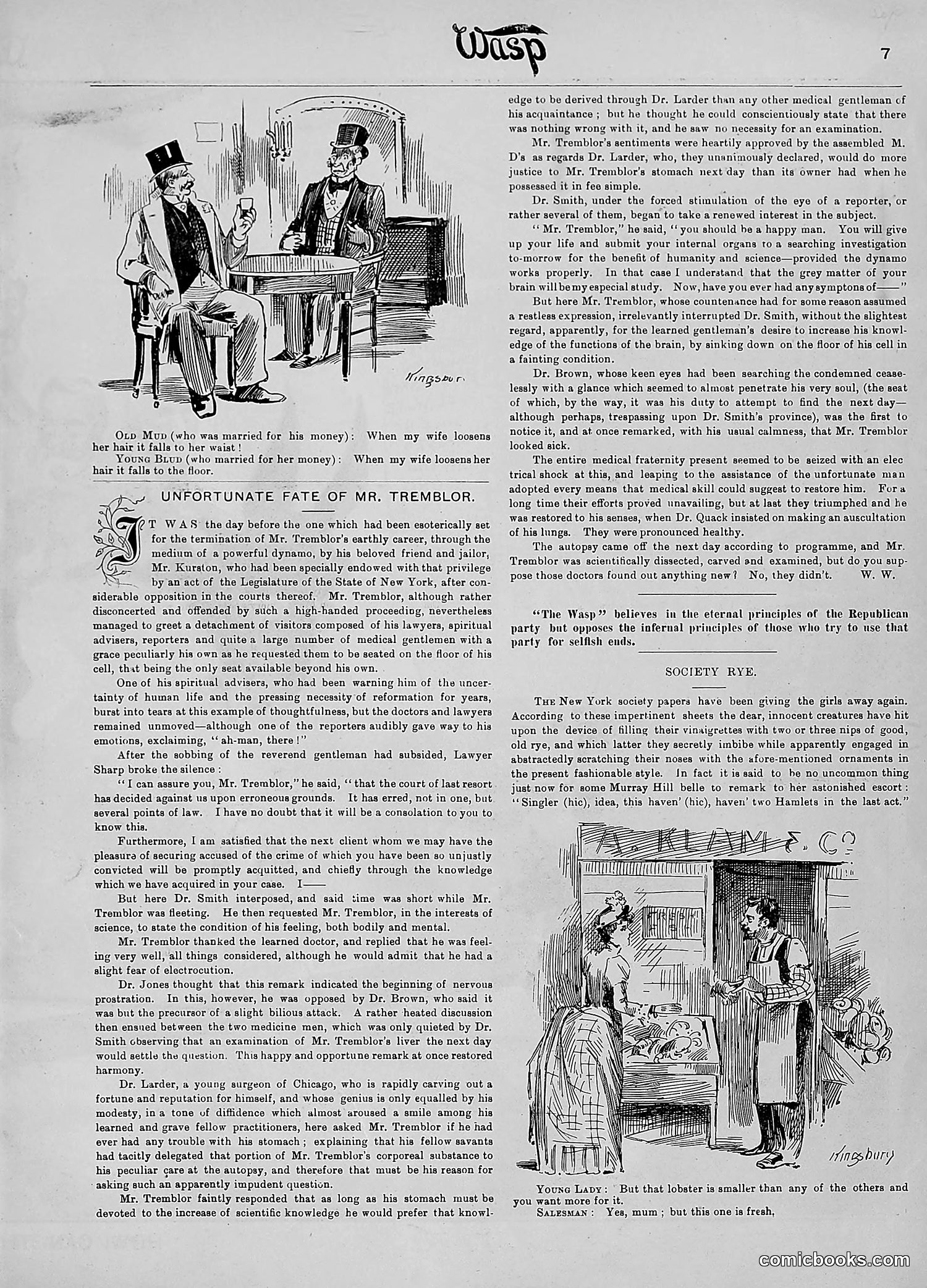 The Wasp — 1890 — page 272 of 504