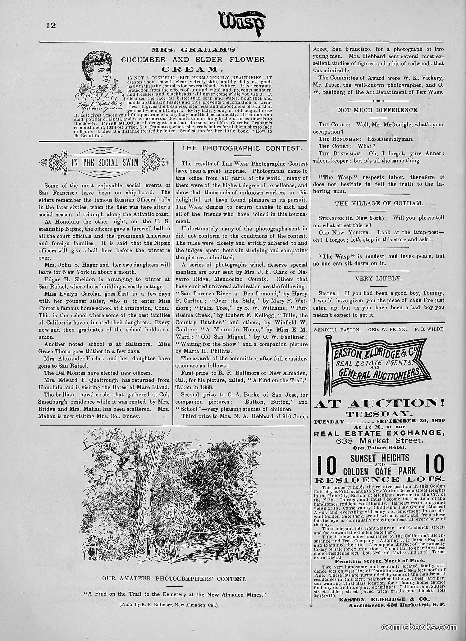 The Wasp — 1890 — page 279 of 504