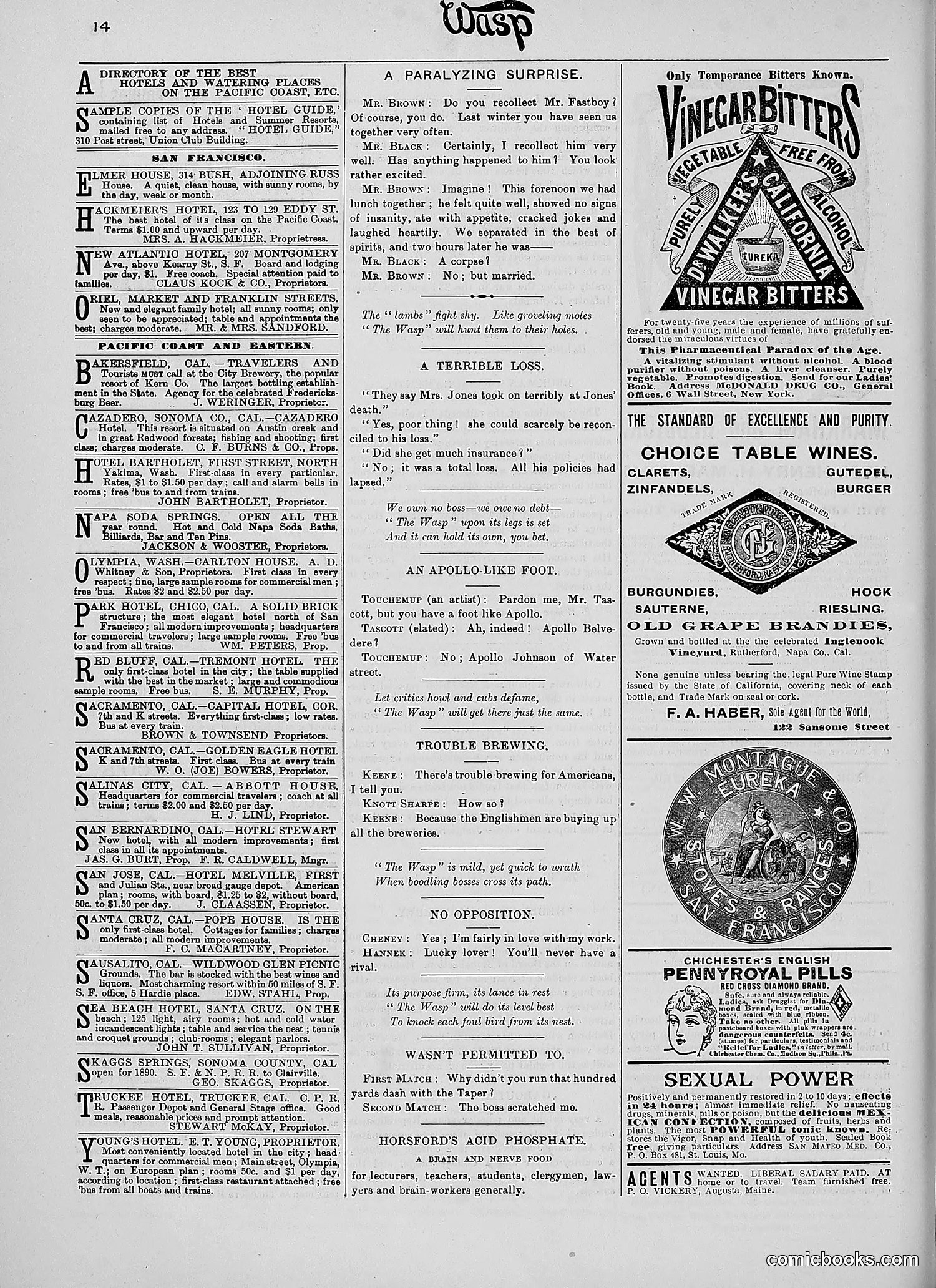 The Wasp — 1890 — page 297 of 504