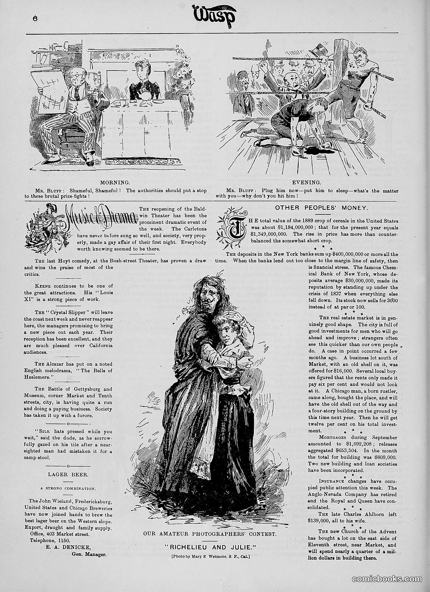 The Wasp — 1890 — page 307 of 504