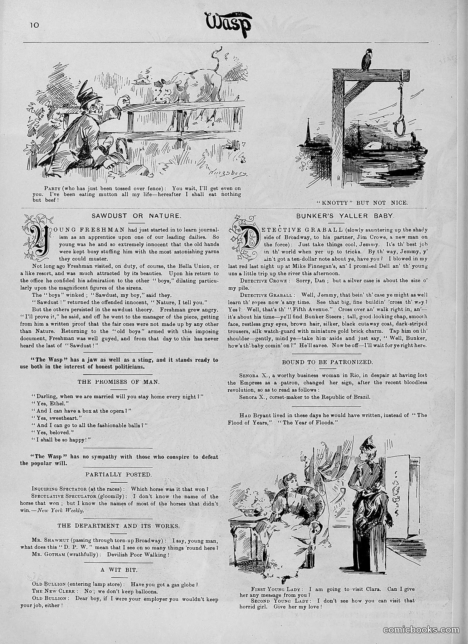 The Wasp — 1890 — page 311 of 504