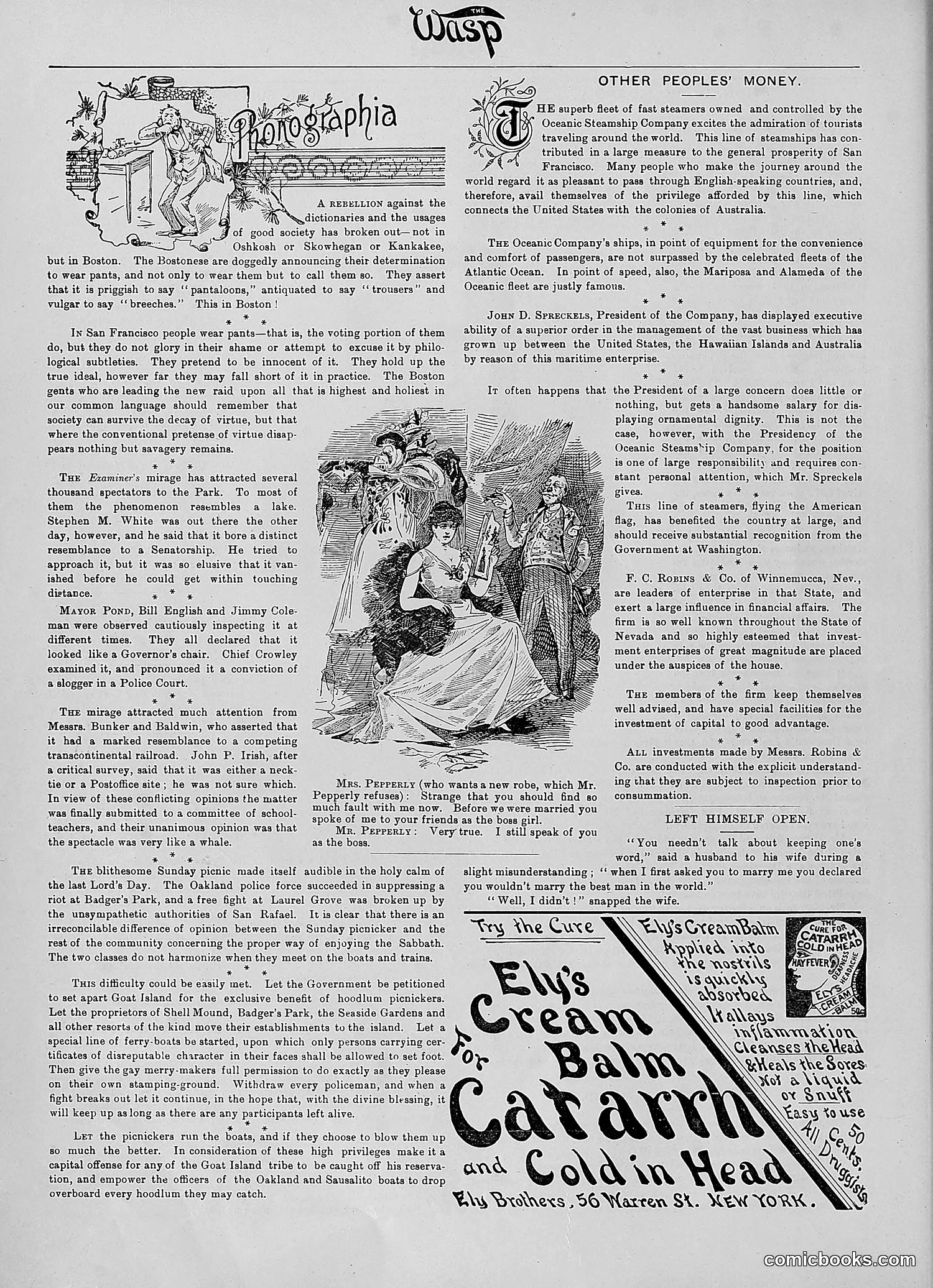 The Wasp — 1890 — page 33 of 504