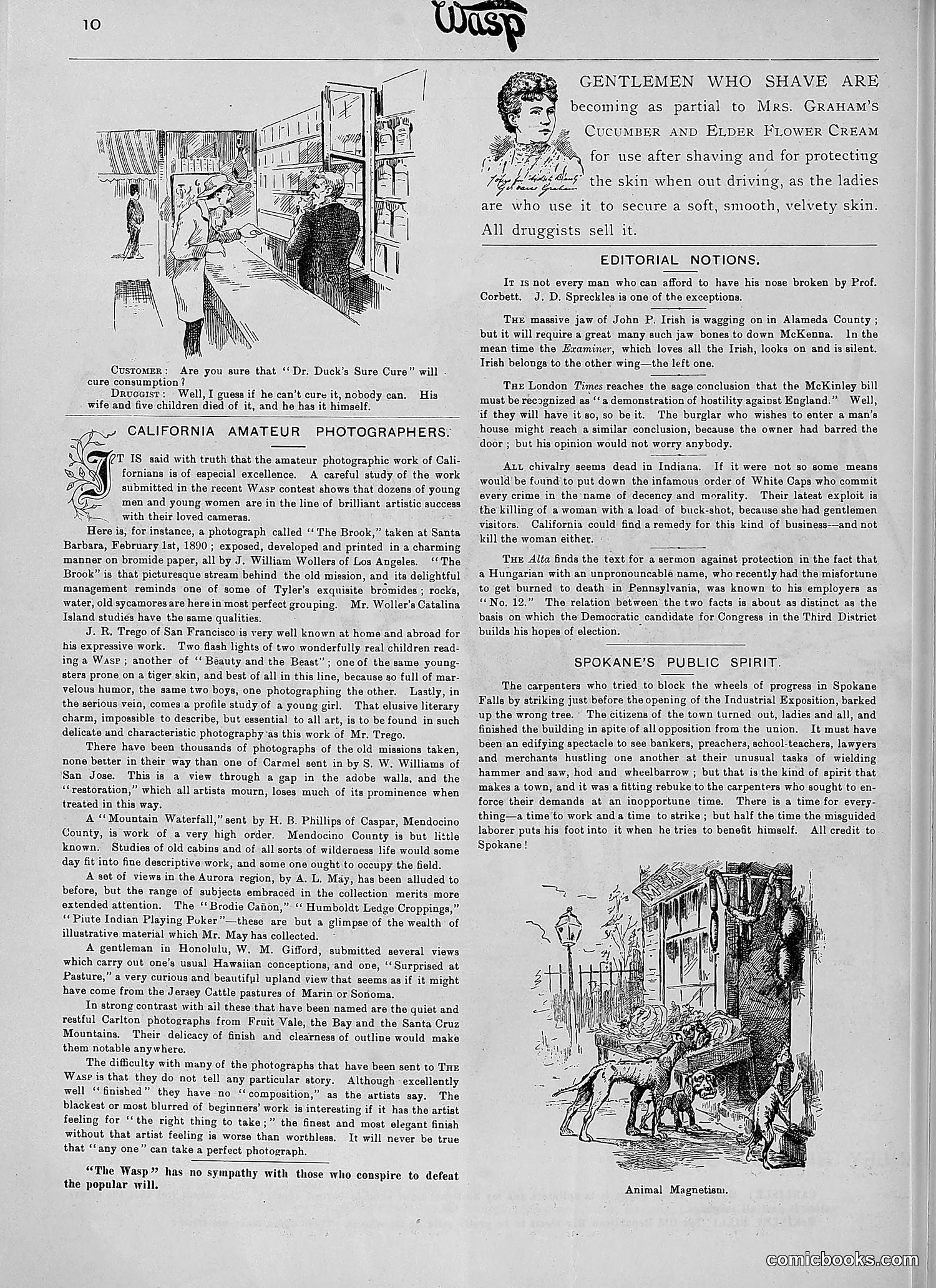 The Wasp — 1890 — page 327 of 504