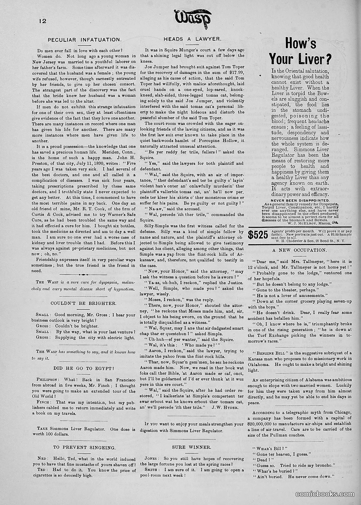 The Wasp — 1890 — page 377 of 504
