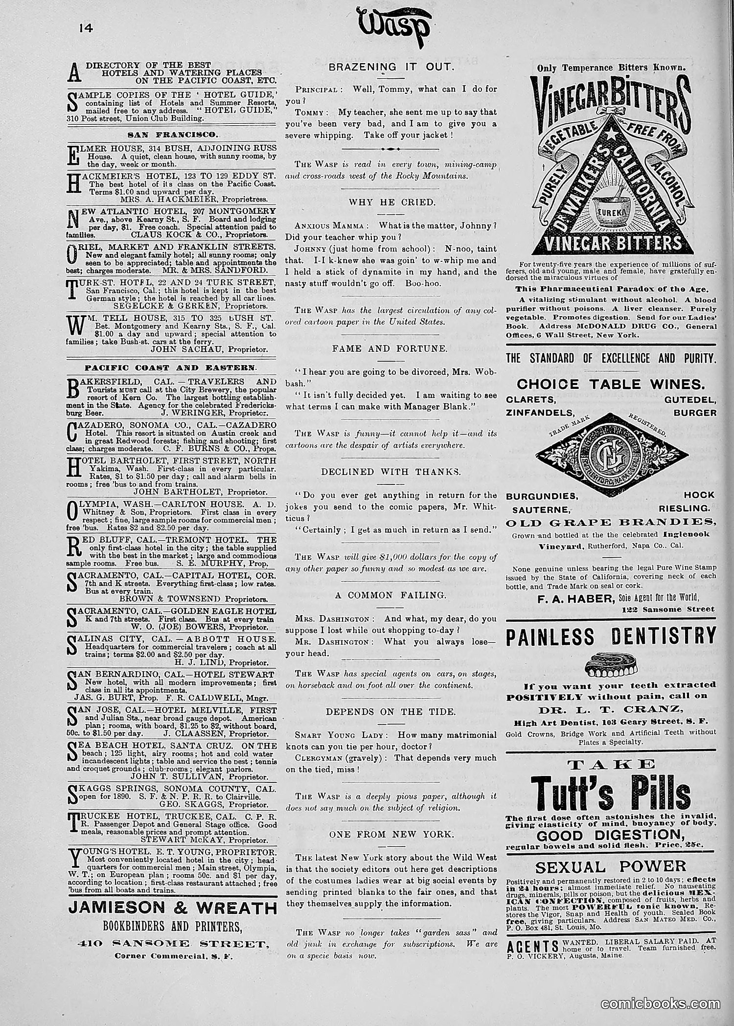 The Wasp — 1890 — page 379 of 504