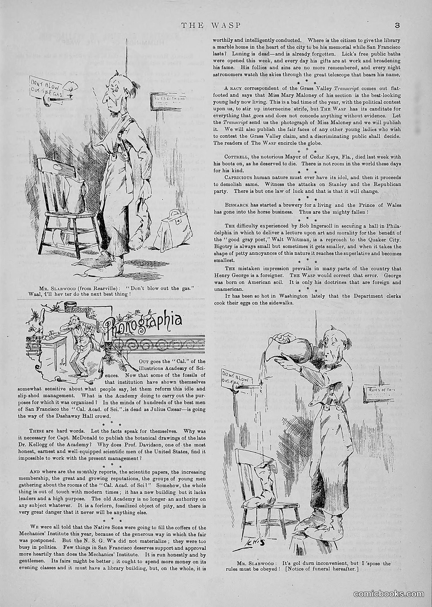 The Wasp — 1890 — page 384 of 504