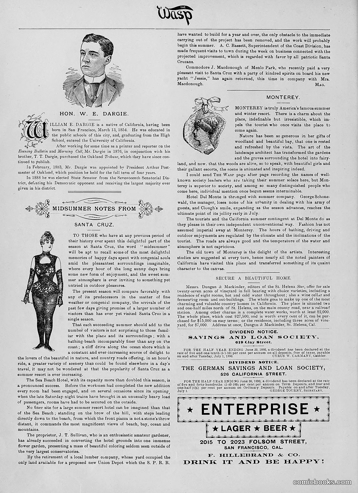 The Wasp — 1890 — page 41 of 504