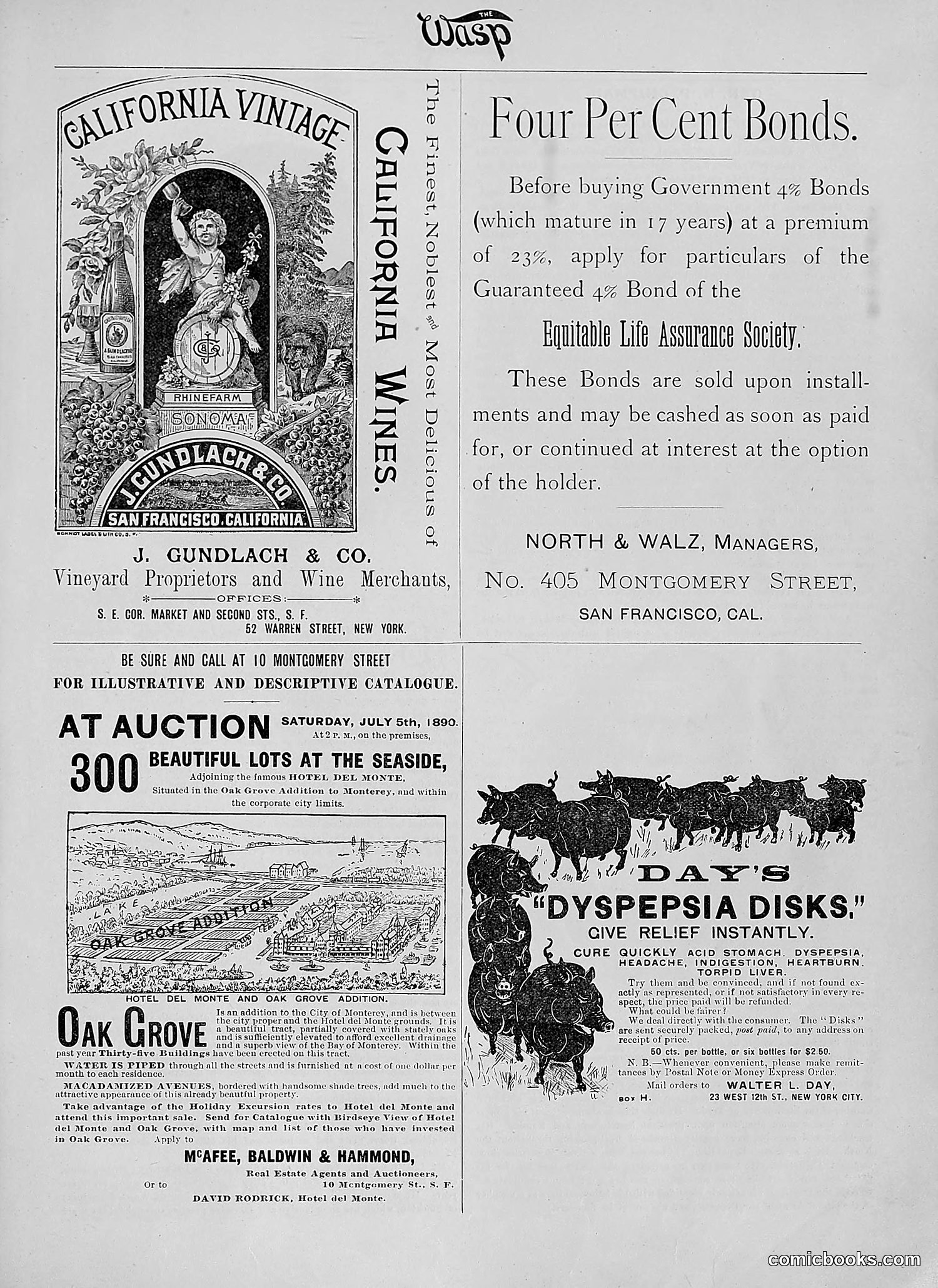 The Wasp — 1890 — page 42 of 504