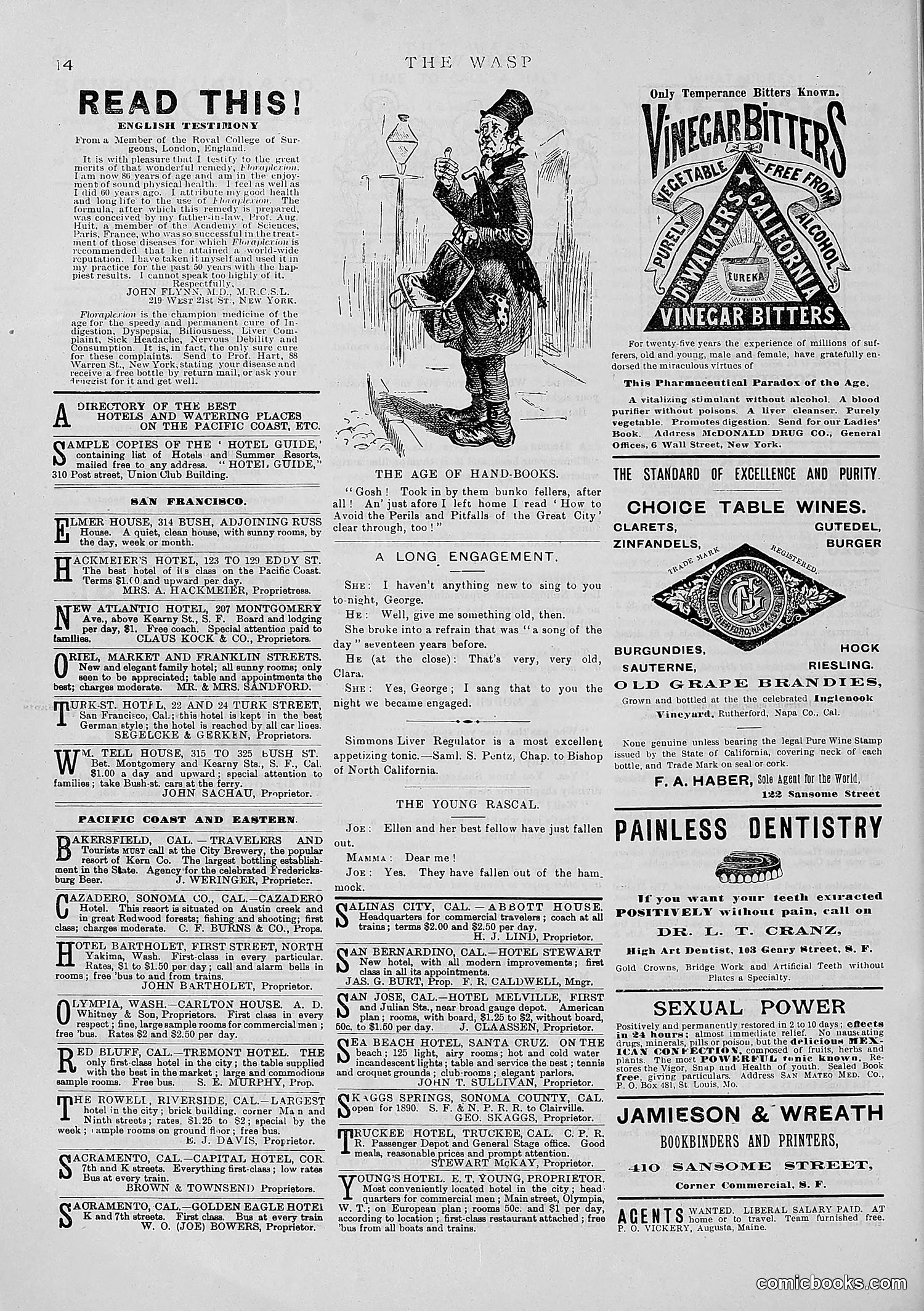 The Wasp — 1890 — page 411 of 504