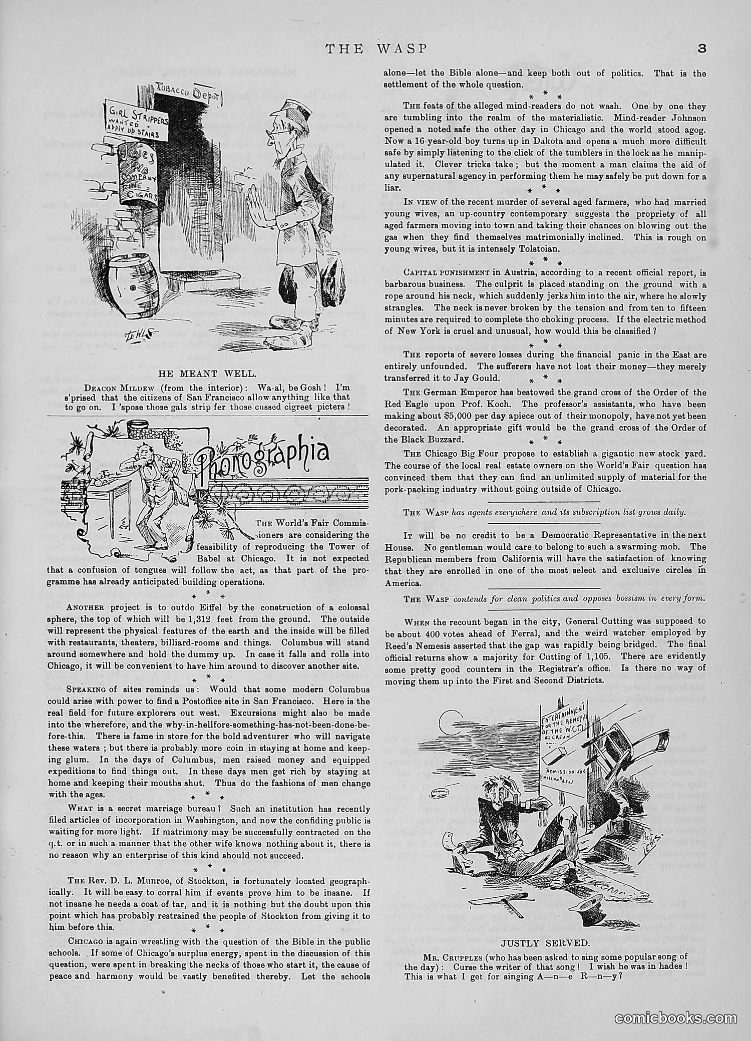The Wasp — 1890 — page 416 of 504