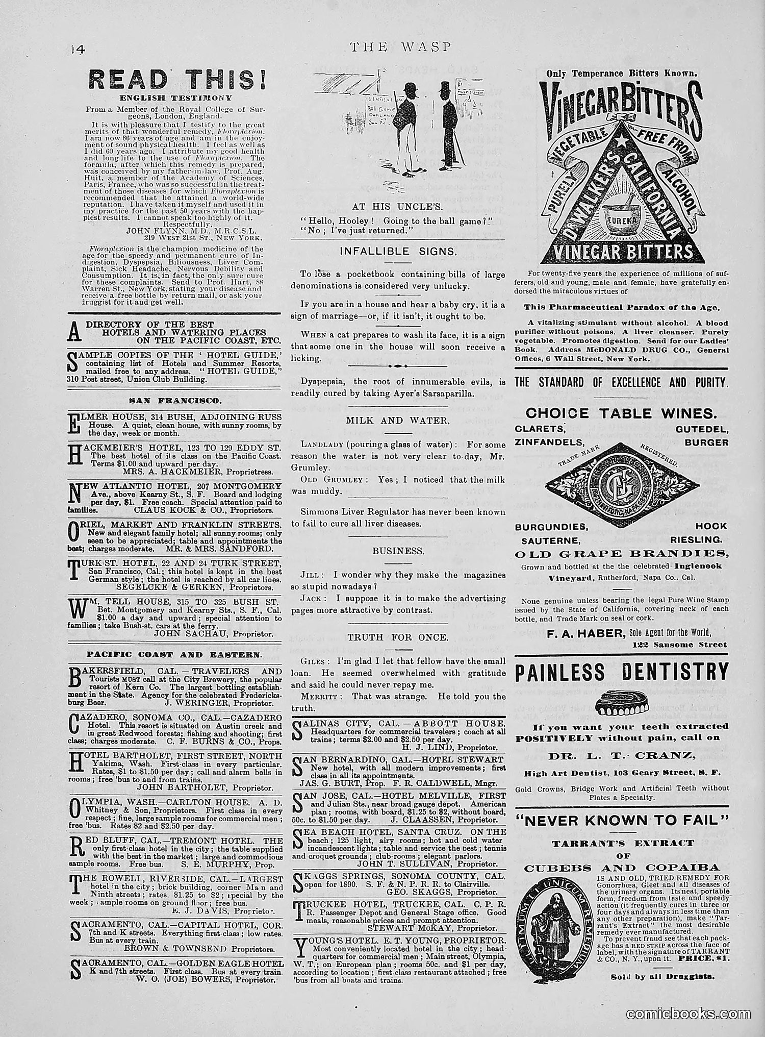 The Wasp — 1890 — page 427 of 504