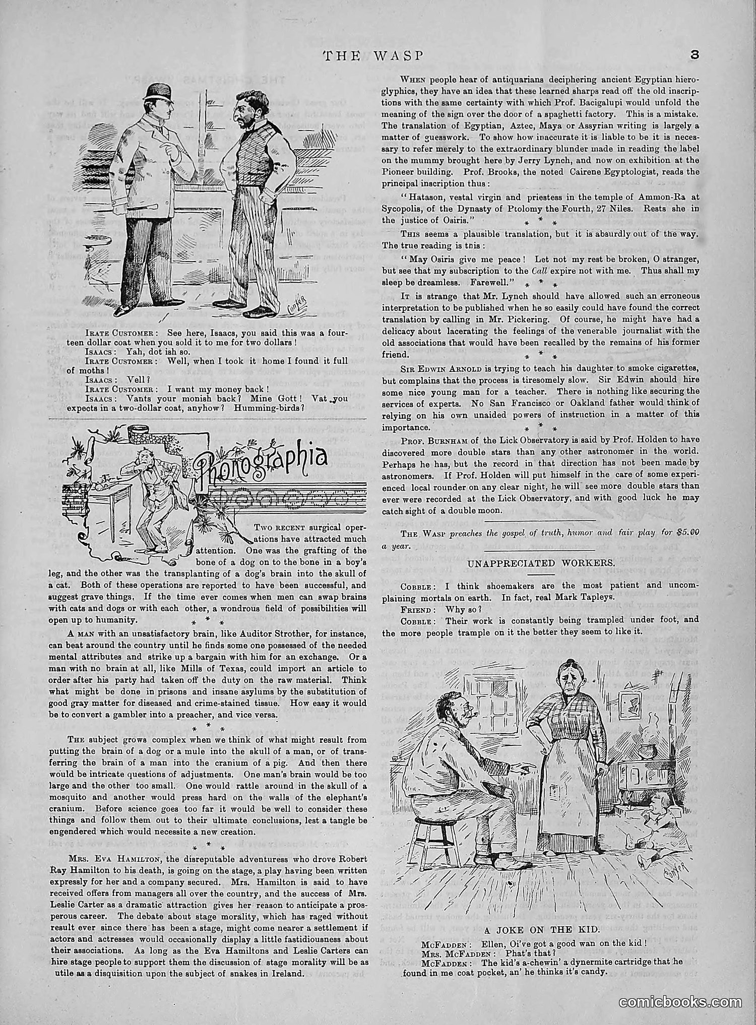 The Wasp — 1890 — page 432 of 504