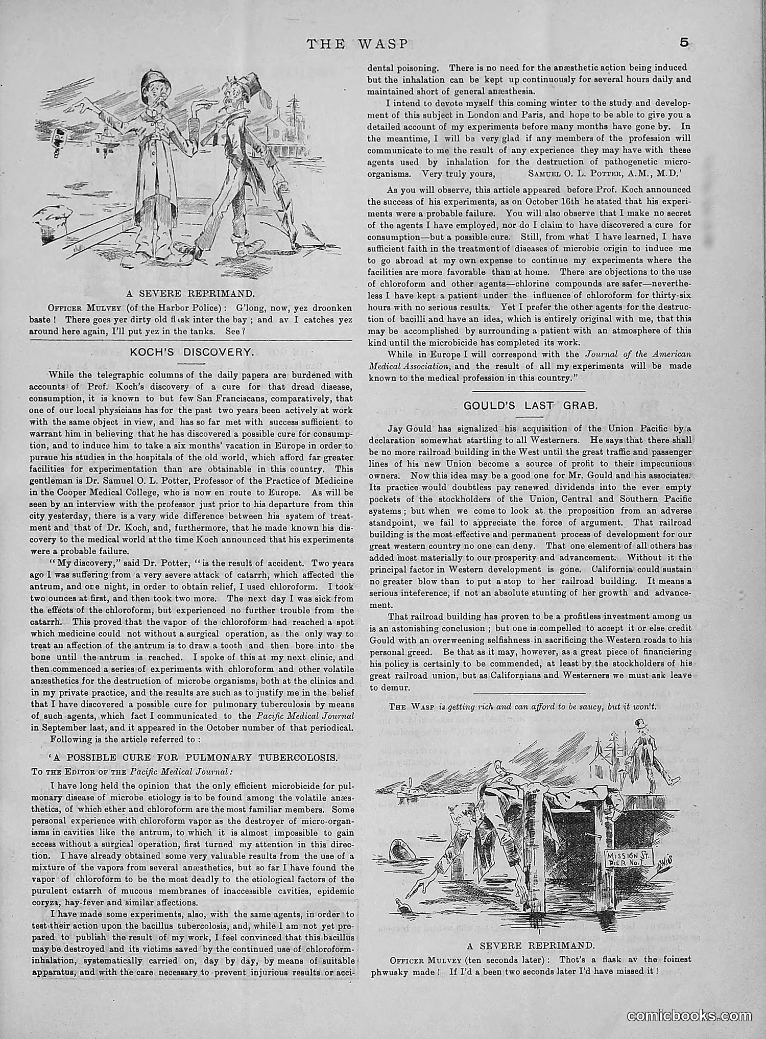 The Wasp — 1890 — page 434 of 504