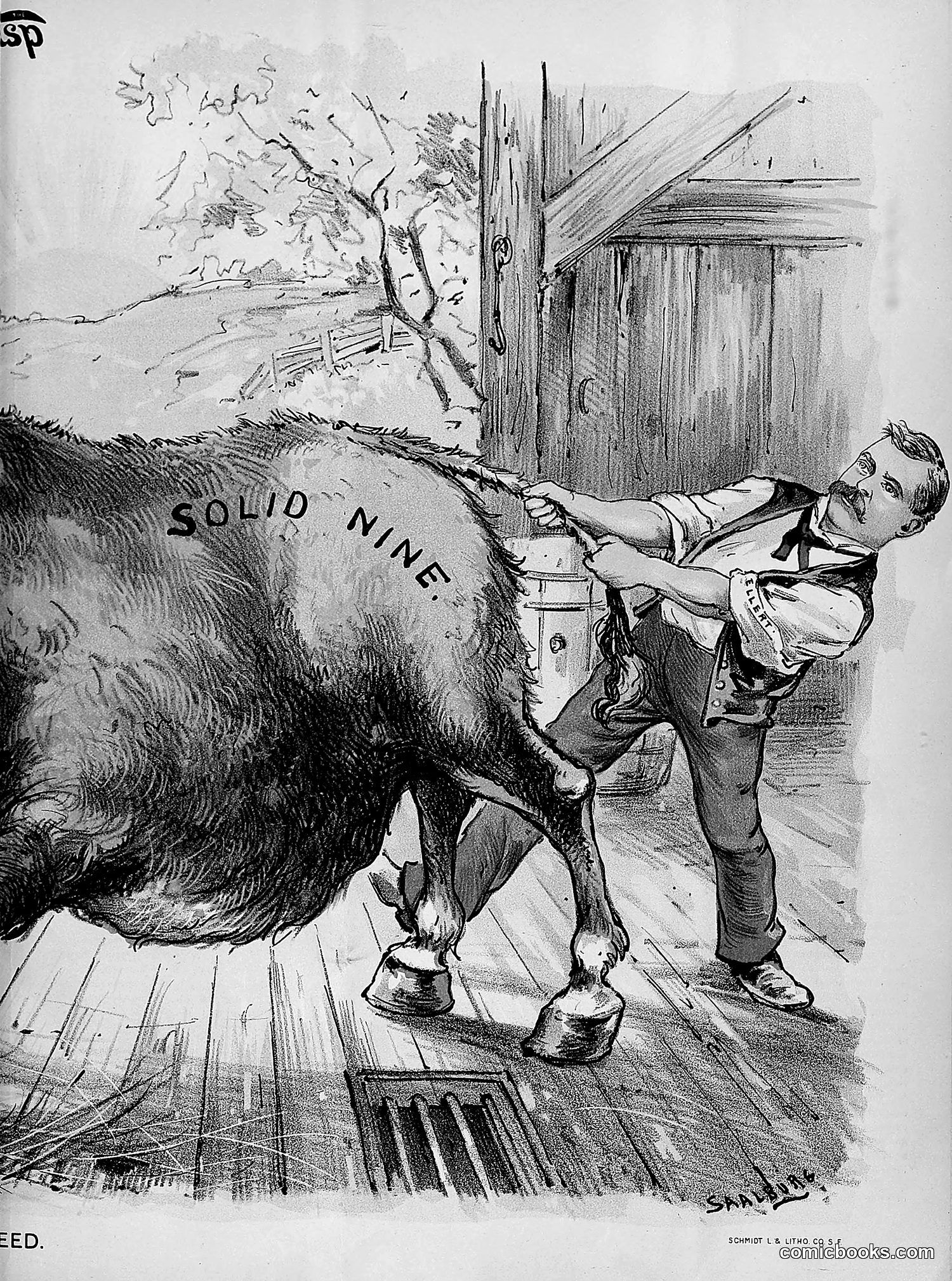 The Wasp — 1890 — page 438 of 504