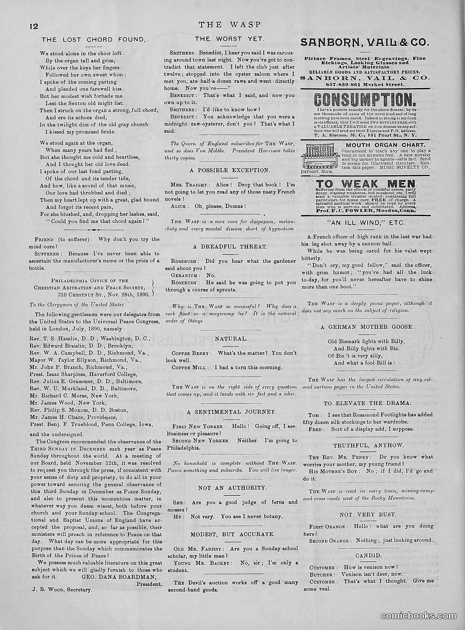 The Wasp — 1890 — page 441 of 504