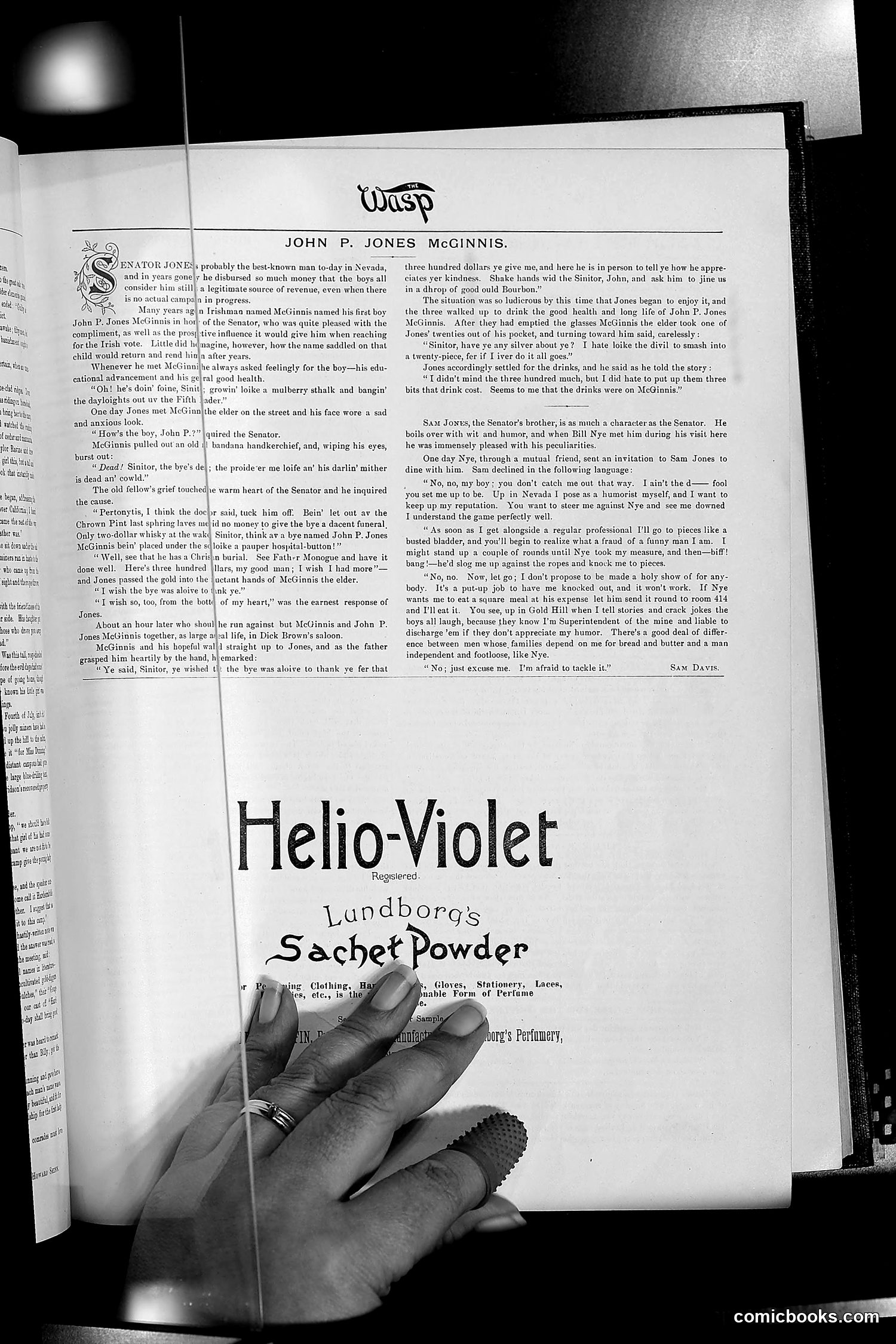 The Wasp — 1890 — page 48 of 504