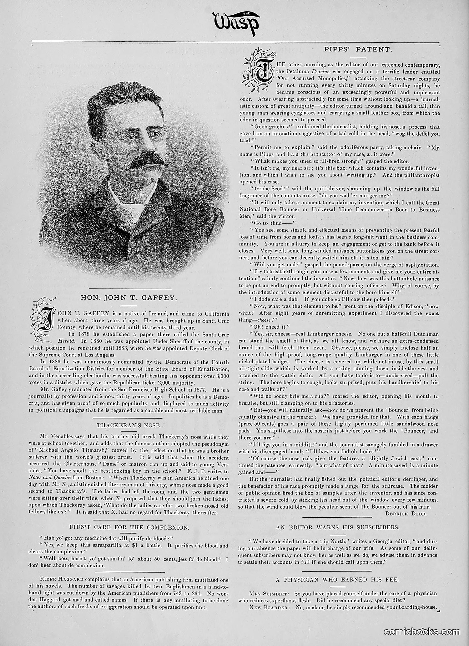 The Wasp — 1890 — page 49 of 504