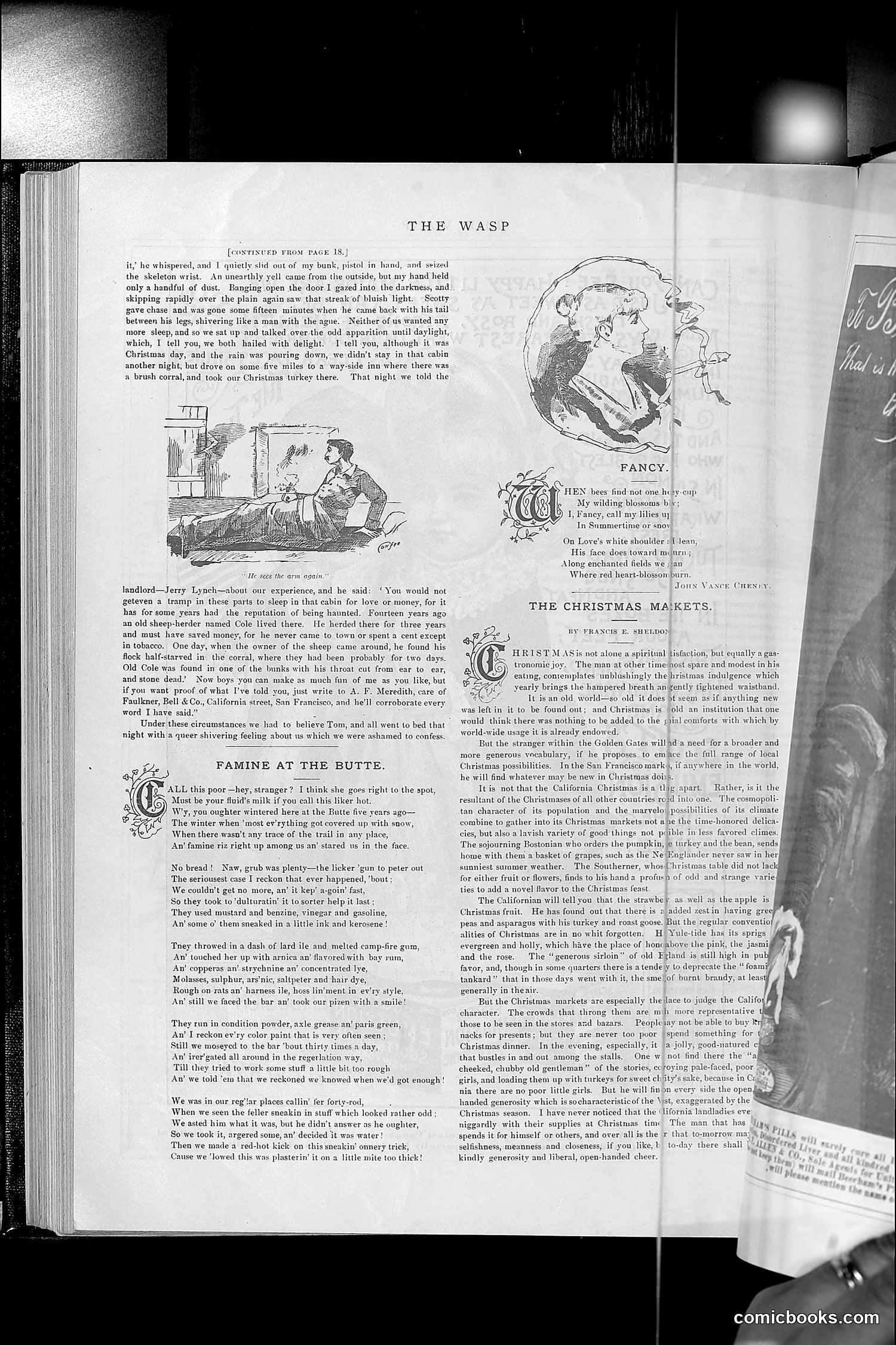 The Wasp — 1890 — page 481 of 504