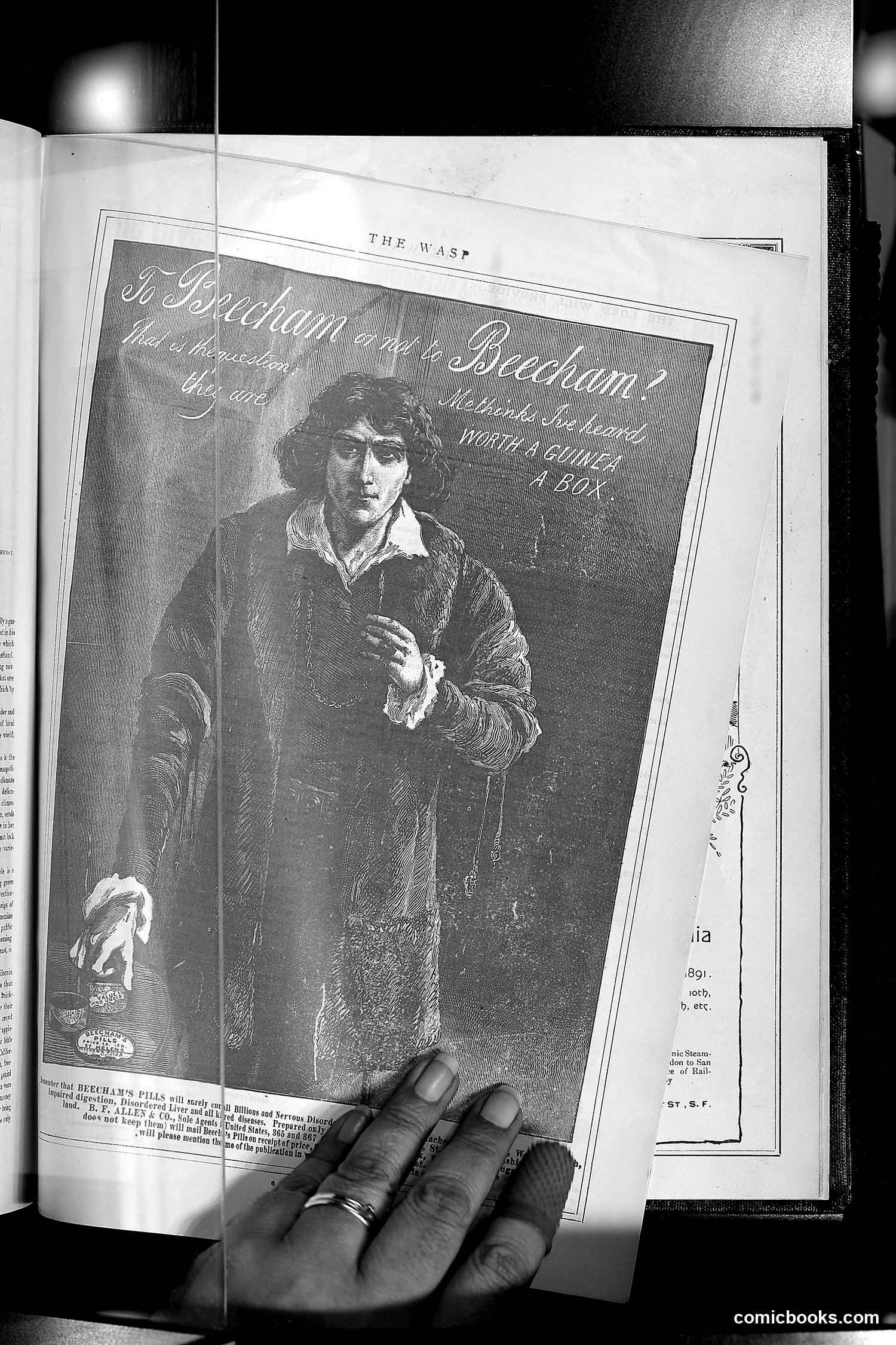 The Wasp — 1890 — page 482 of 504