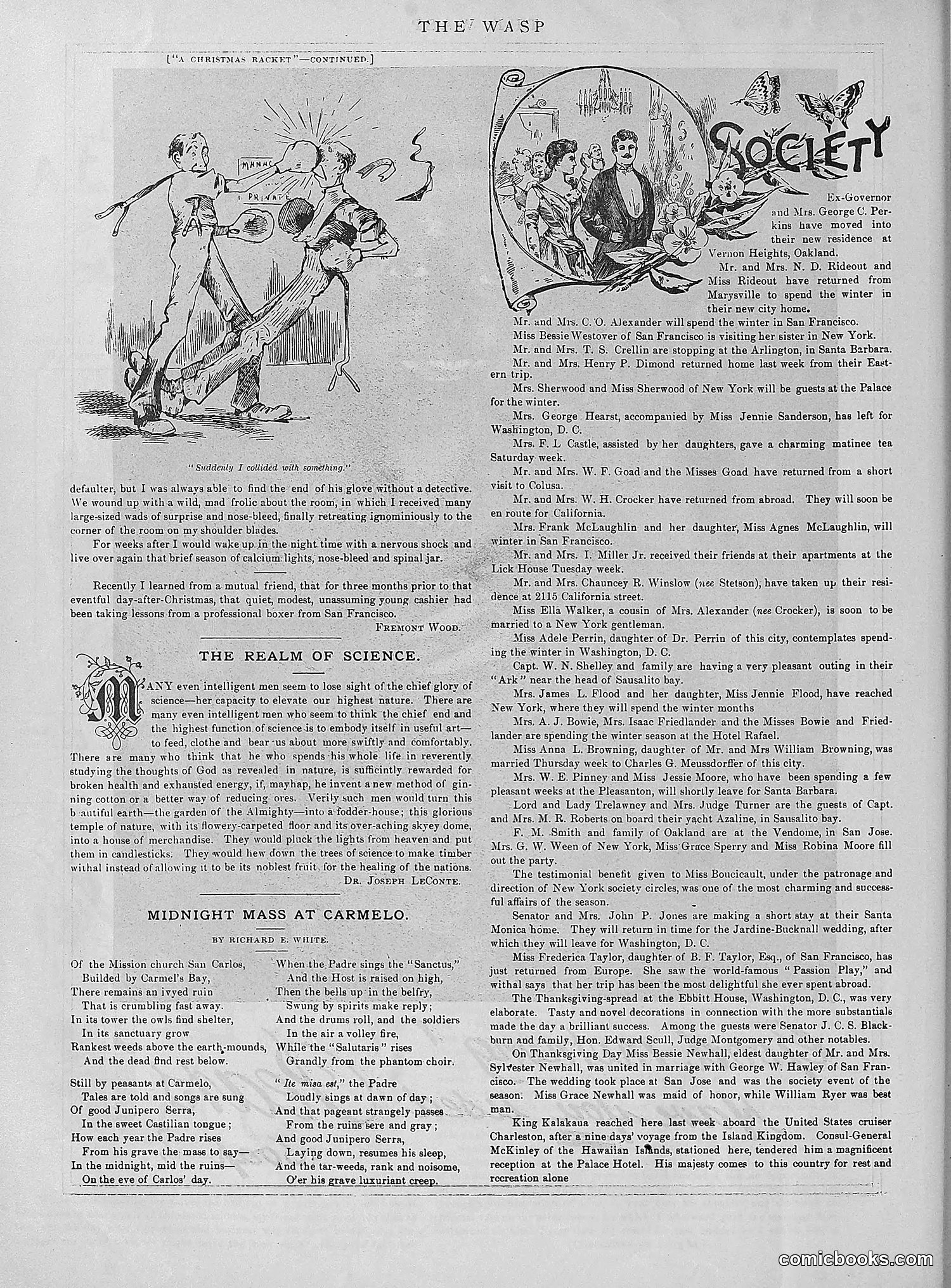 The Wasp — 1890 — page 489 of 504