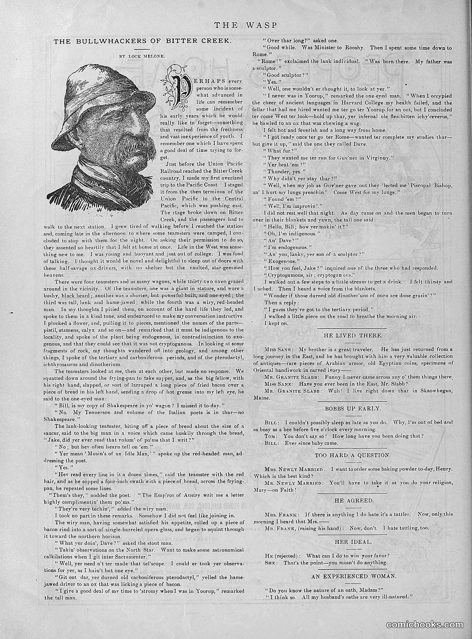 The Wasp — 1890 — page 493 of 504