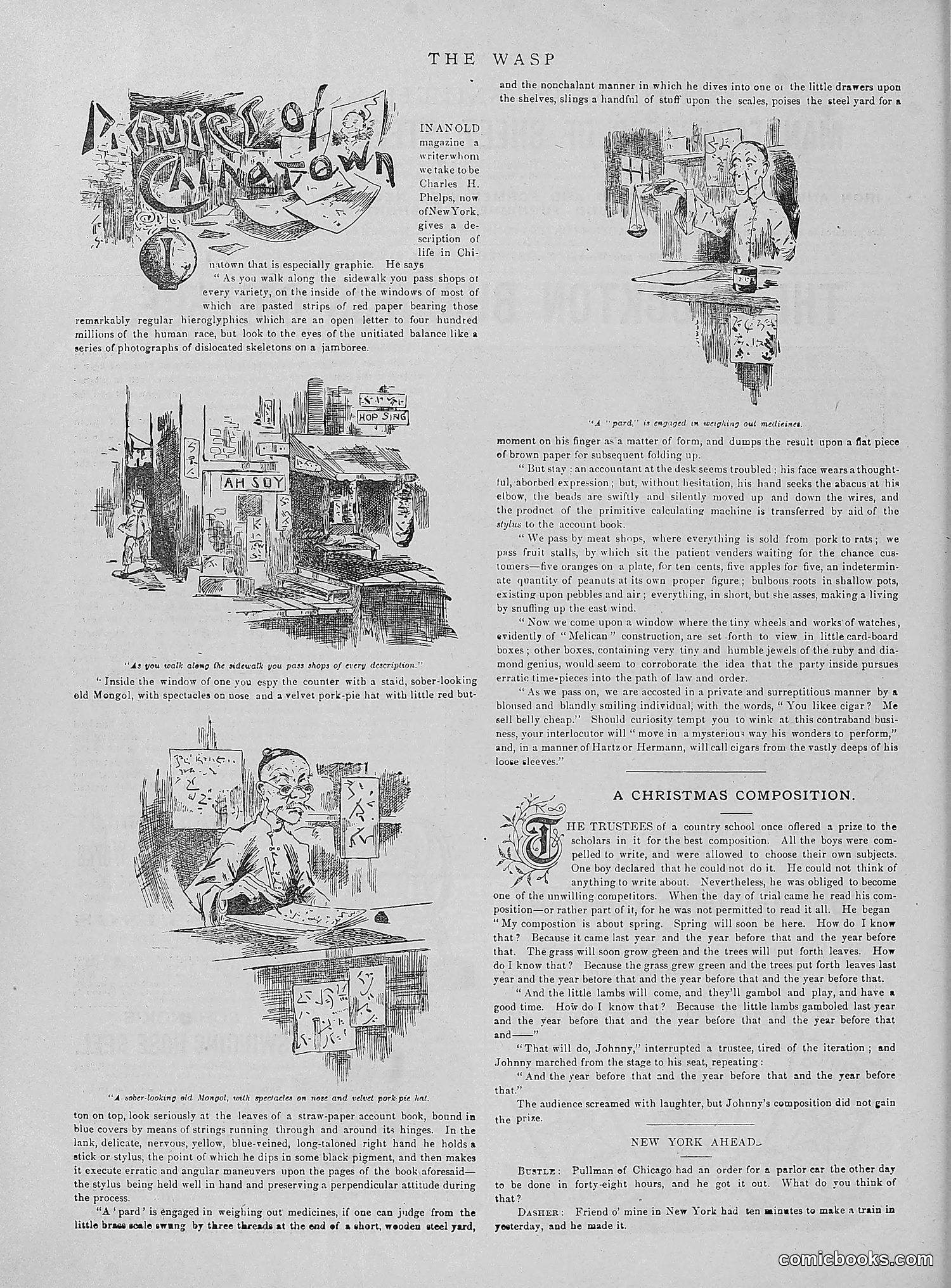 The Wasp — 1890 — page 501 of 504