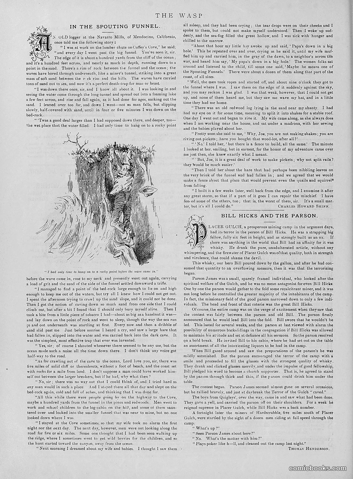 The Wasp — 1890 — page 503 of 504