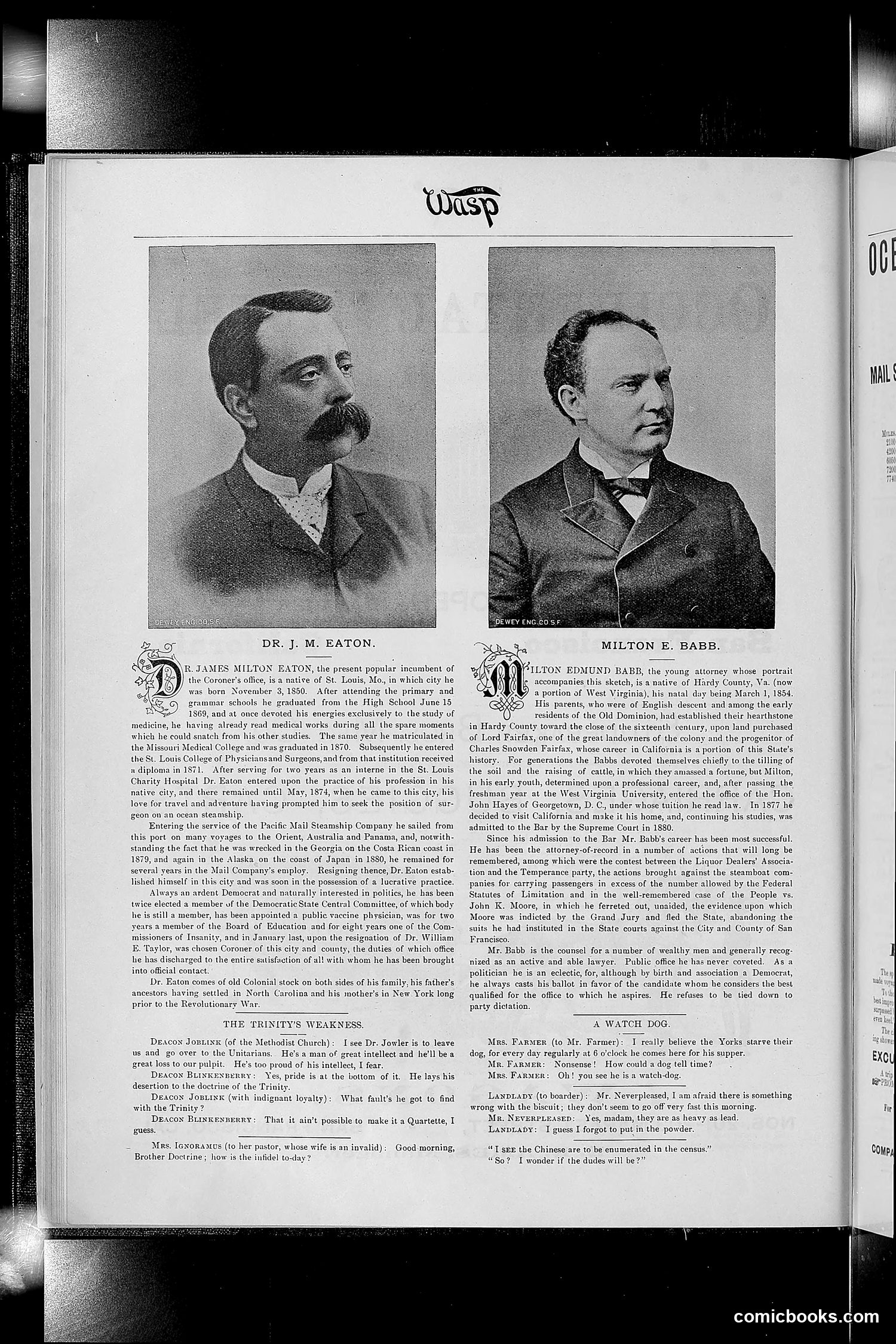 The Wasp — 1890 — page 61 of 504
