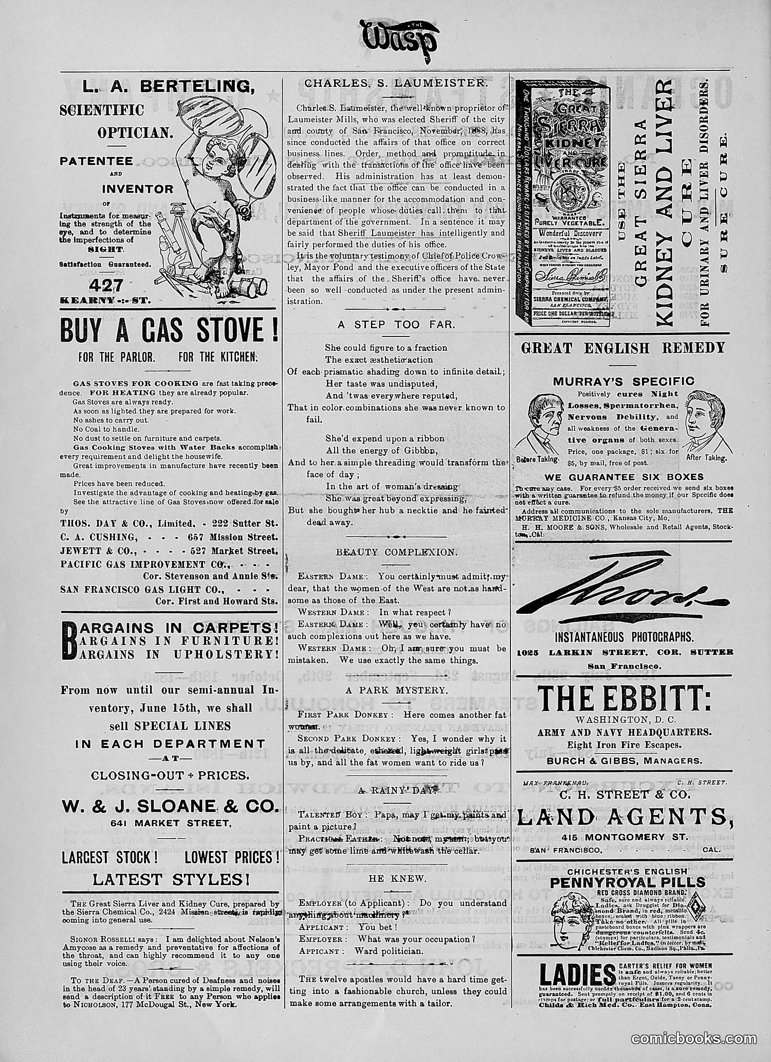 The Wasp — 1890 — page 65 of 504