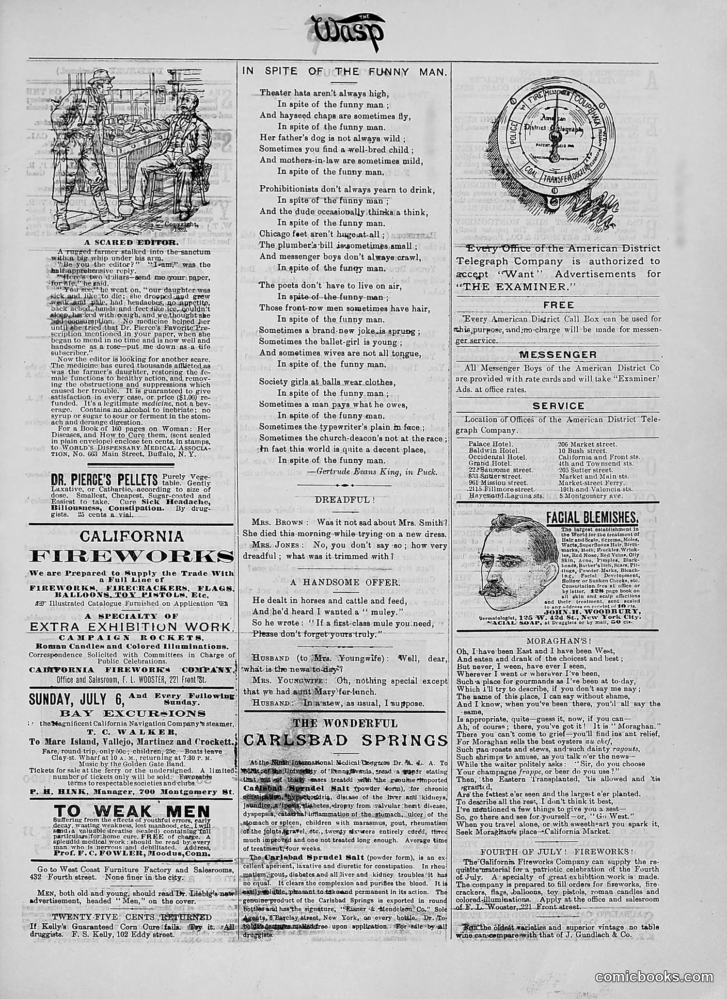 The Wasp — 1890 — page 66 of 504