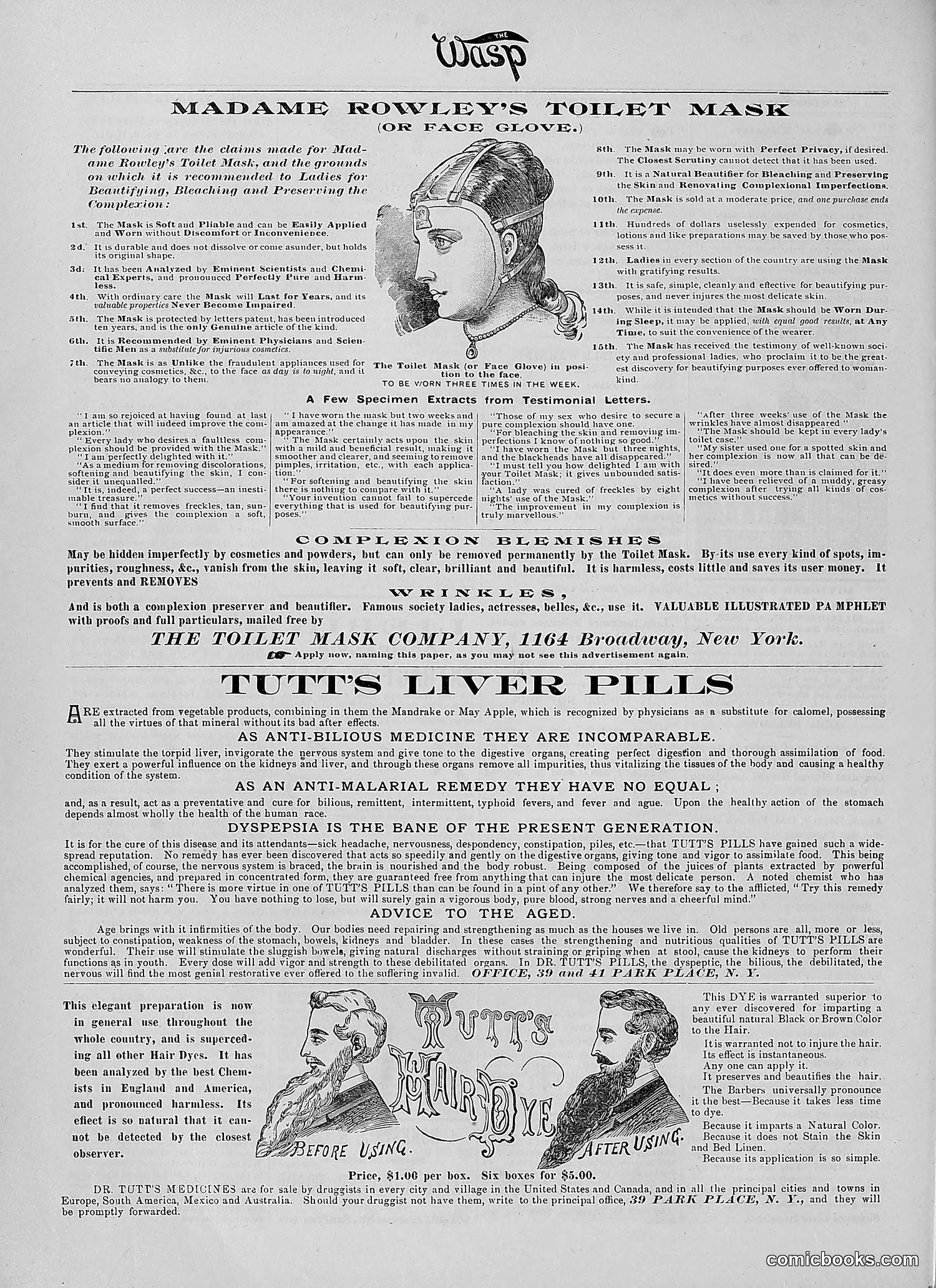 The Wasp — 1890 — page 69 of 504