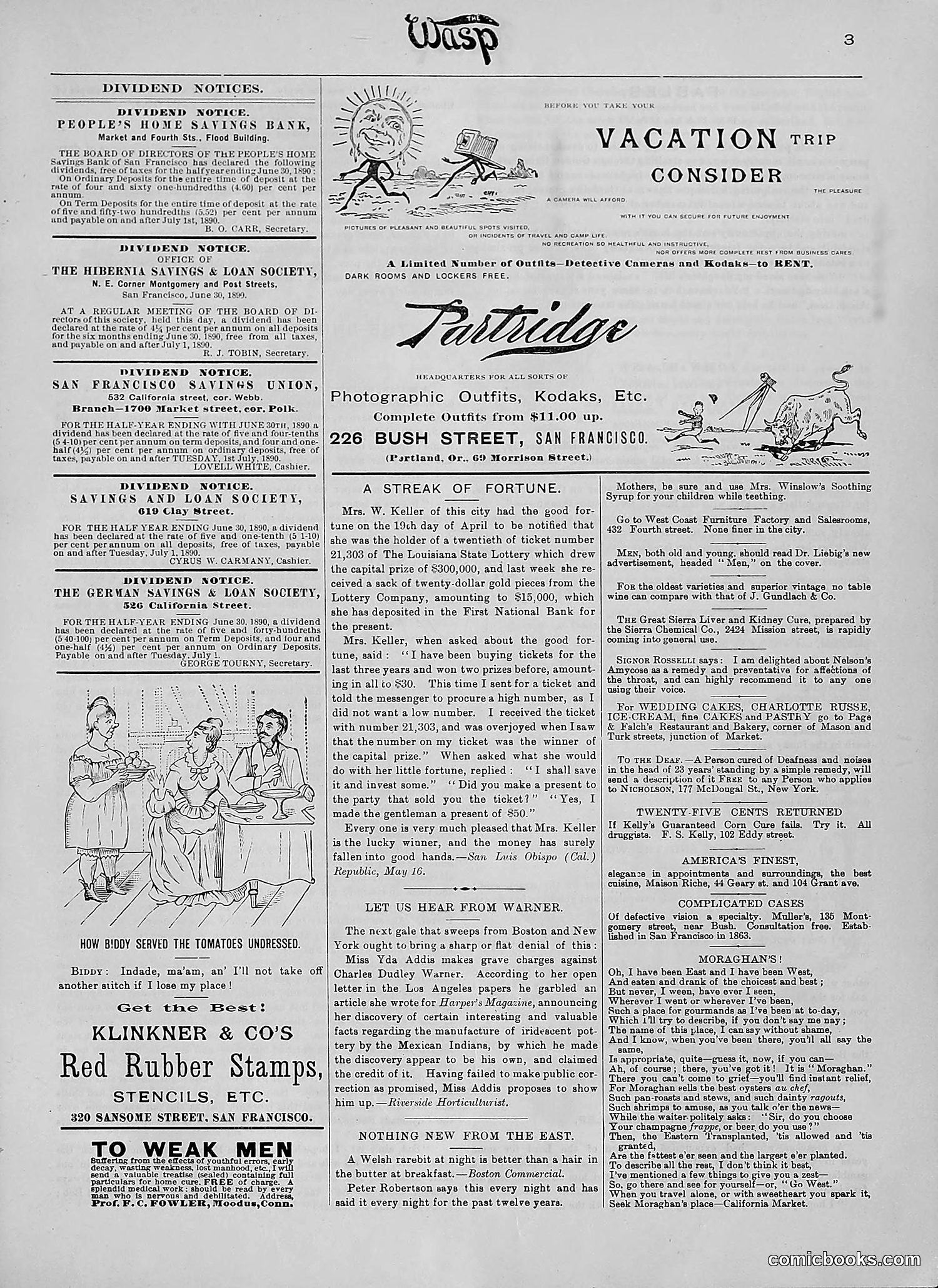 The Wasp — 1890 — page 74 of 504