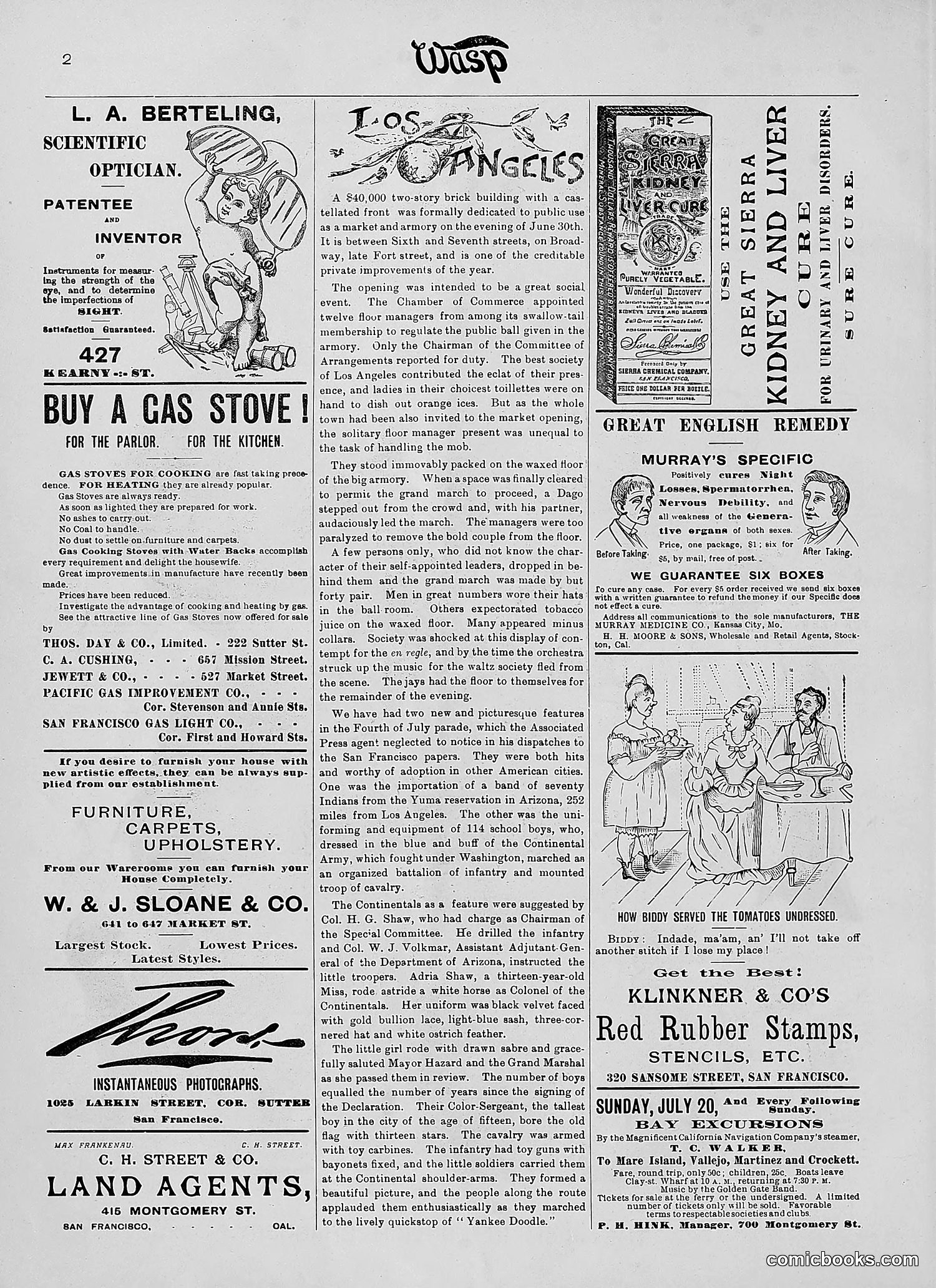 The Wasp — 1890 — page 93 of 504