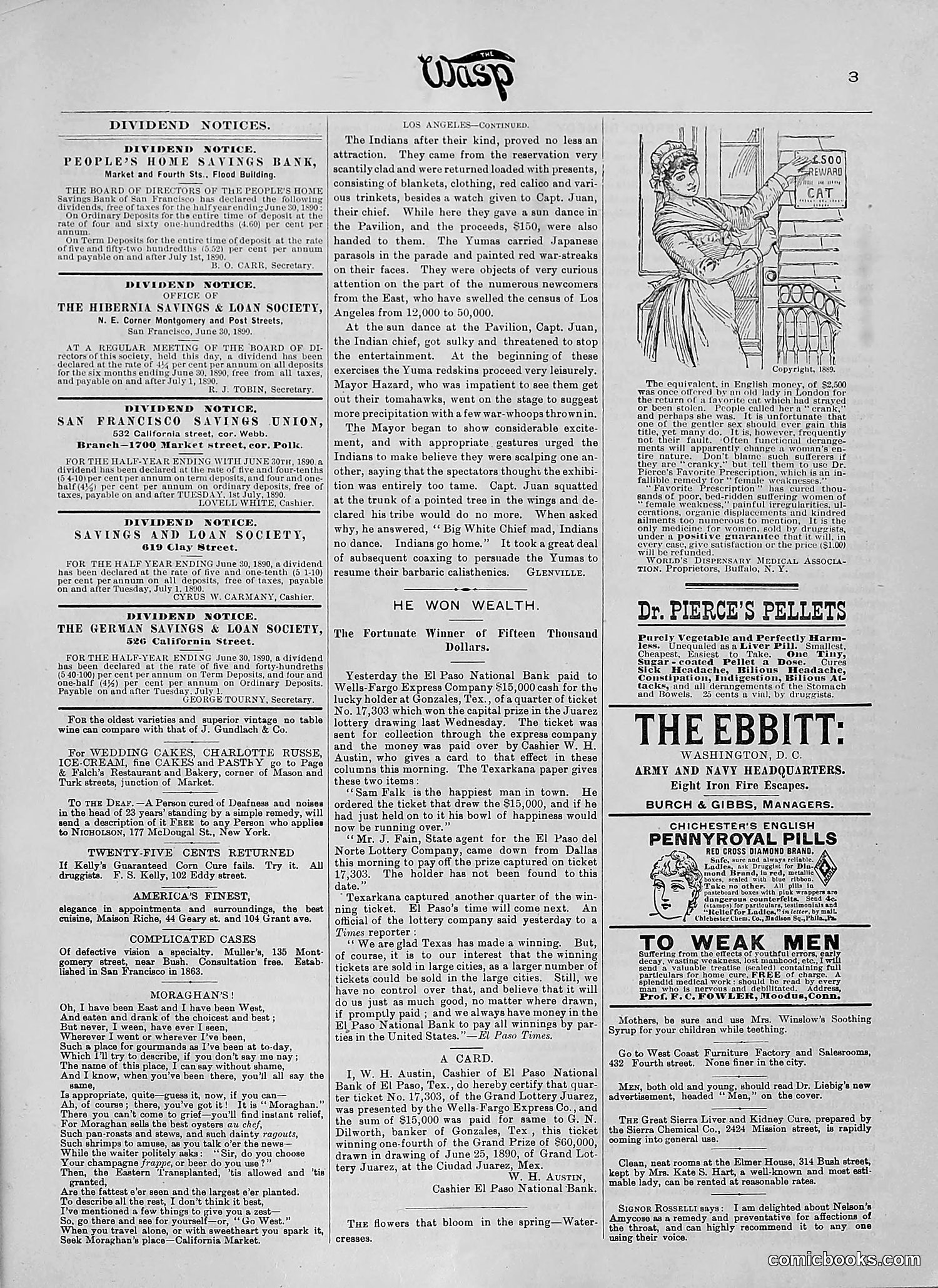 The Wasp — 1890 — page 94 of 504
