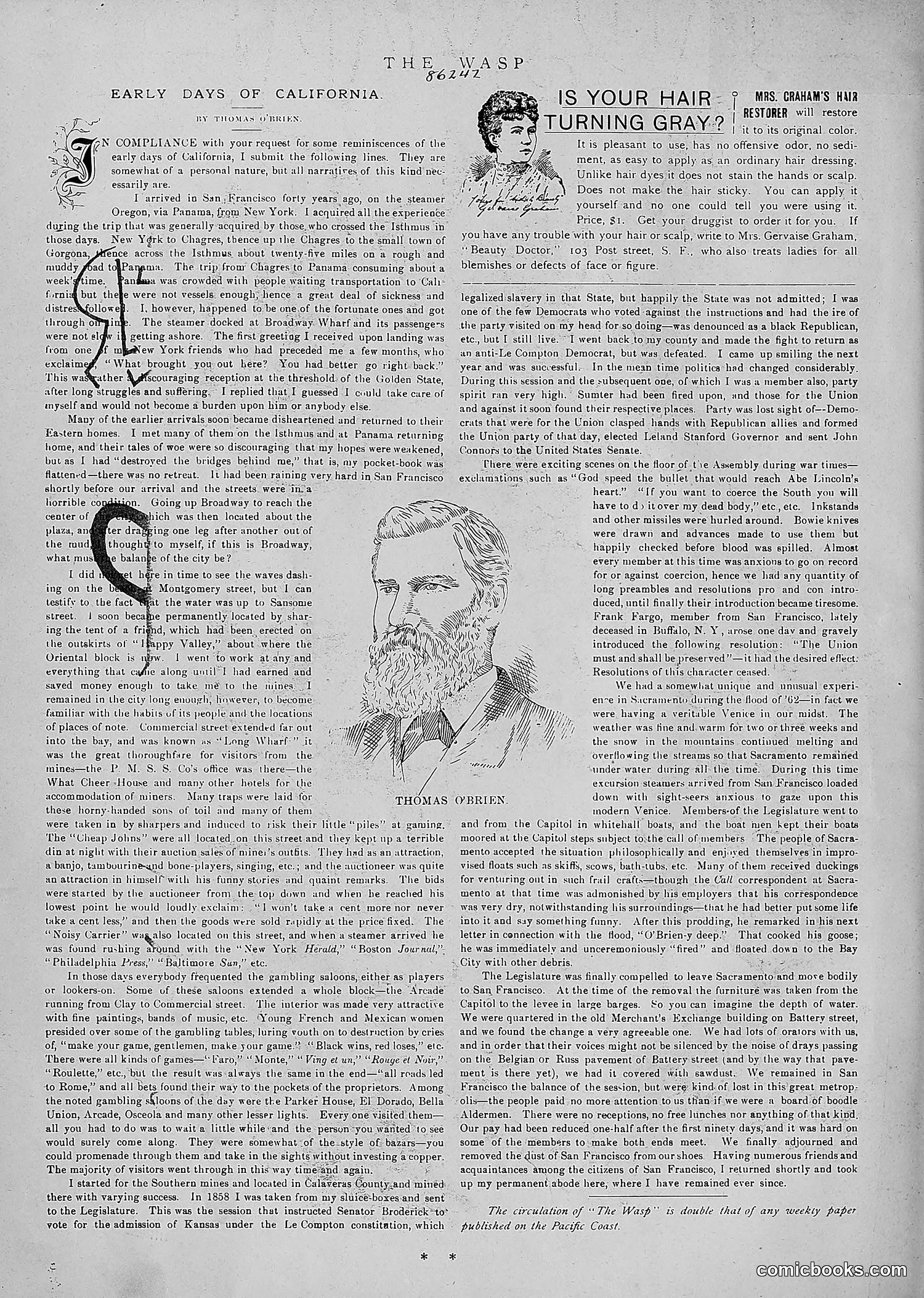 The Wasp — 1891 — page 9 of 546