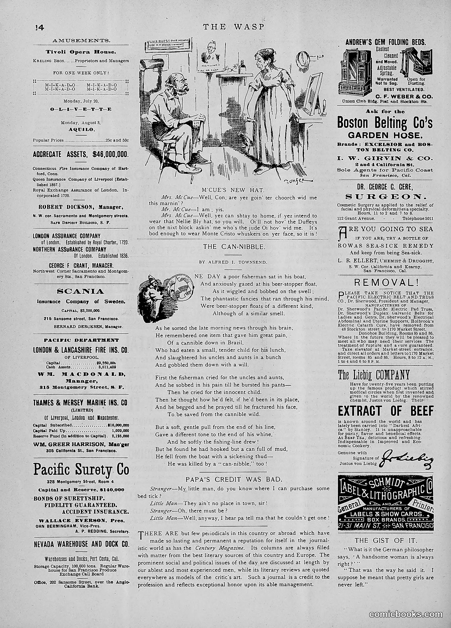 The Wasp — 1891 — page 101 of 546